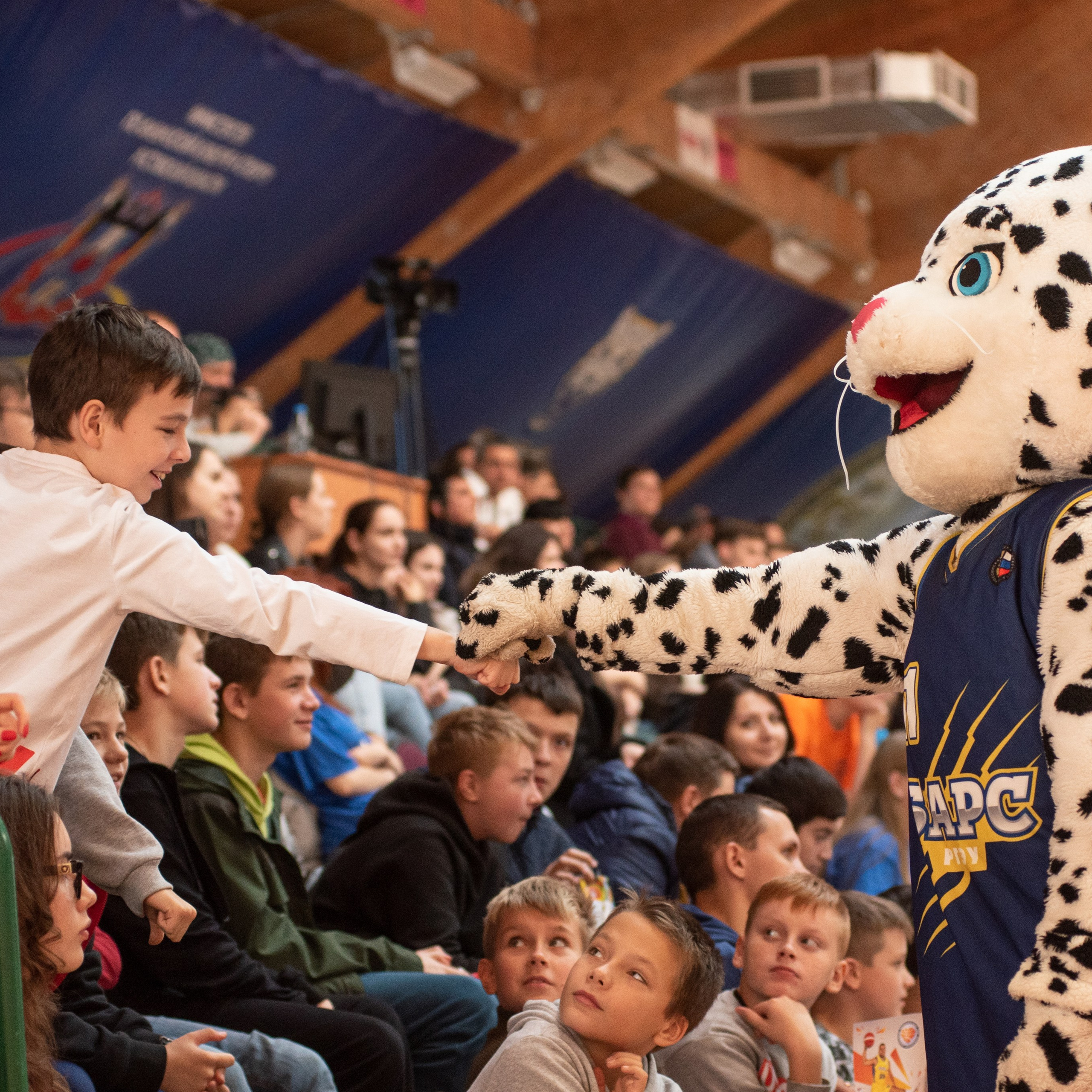 Спорт. Фотограф в Ростове-на-Дону