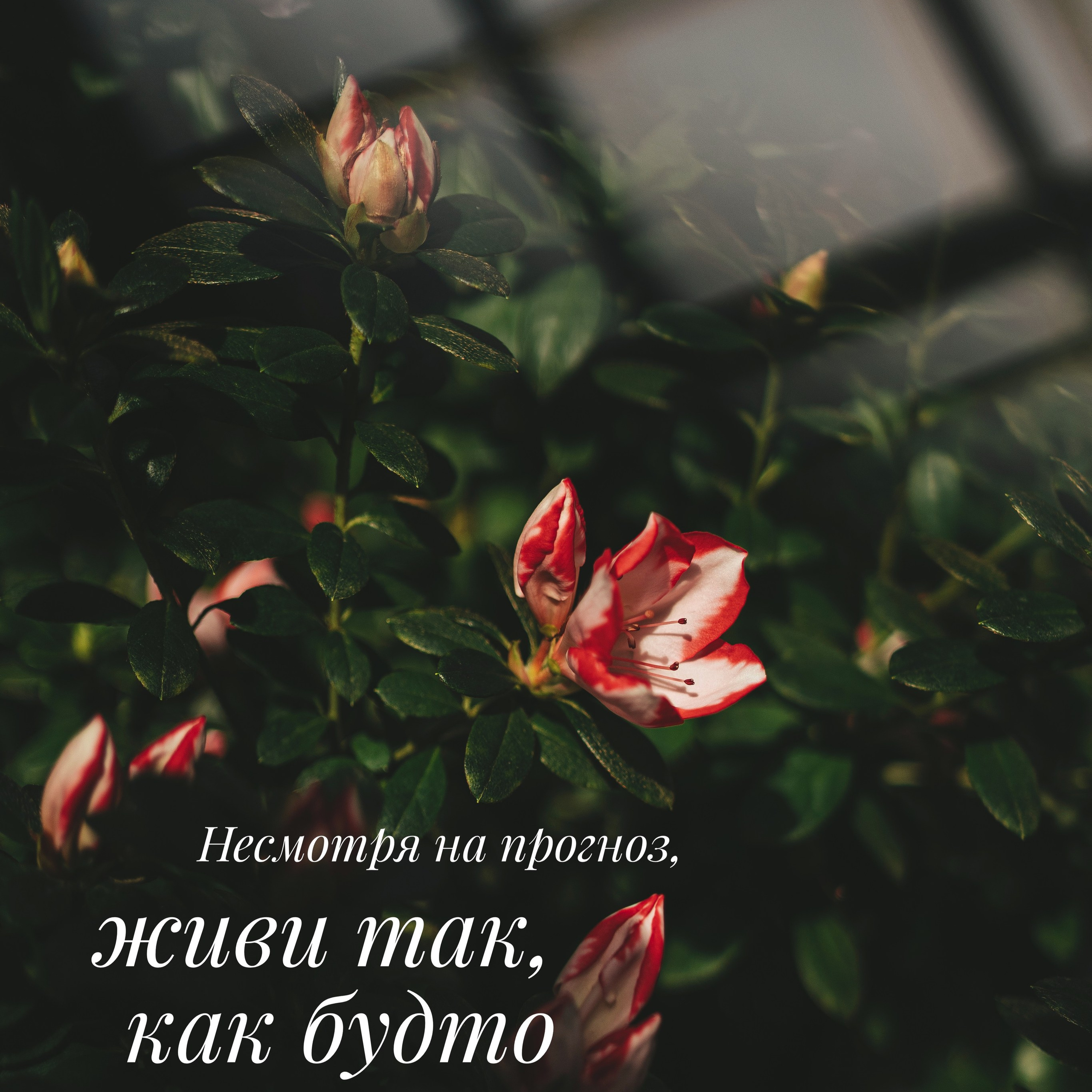 Весеннее настроение. Портретный и семейный фотограф во Владивостоке Светлана Мухильченко