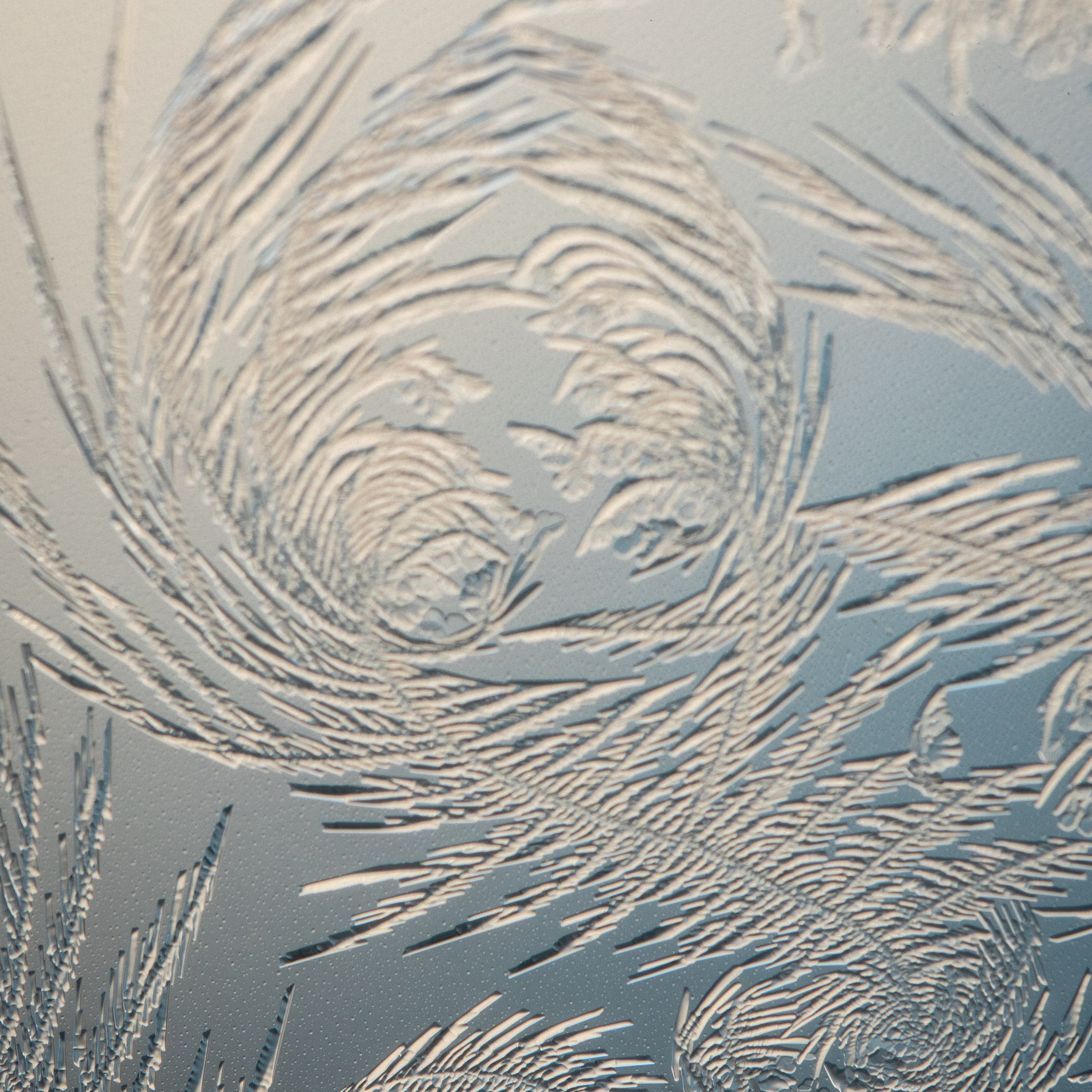 Новые морозные узоры. Портретный и семейный фотограф во Владивостоке Светлана Мухильченко