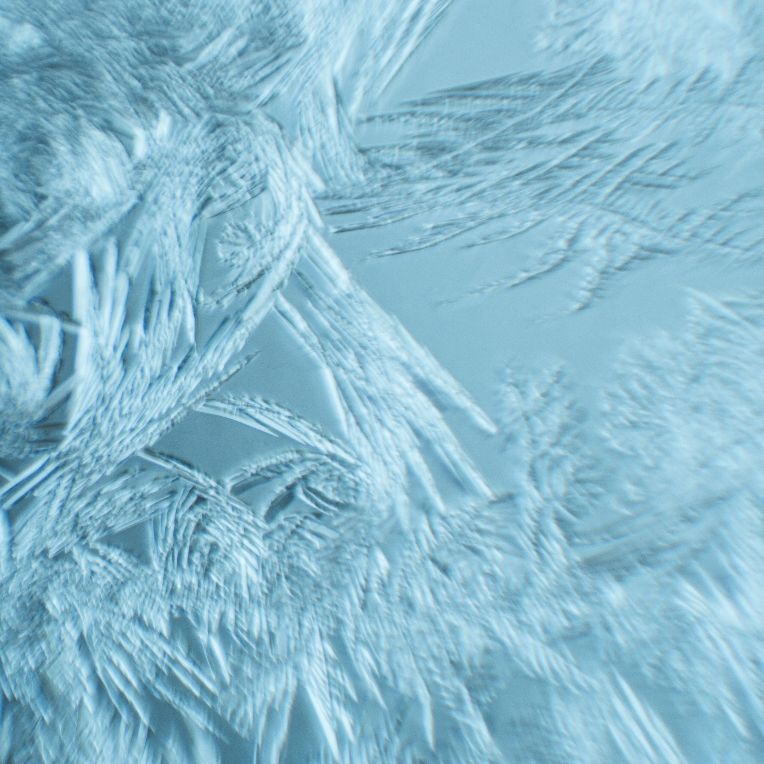 Морозные узоры. Портретный и семейный фотограф во Владивостоке Светлана Мухильченко