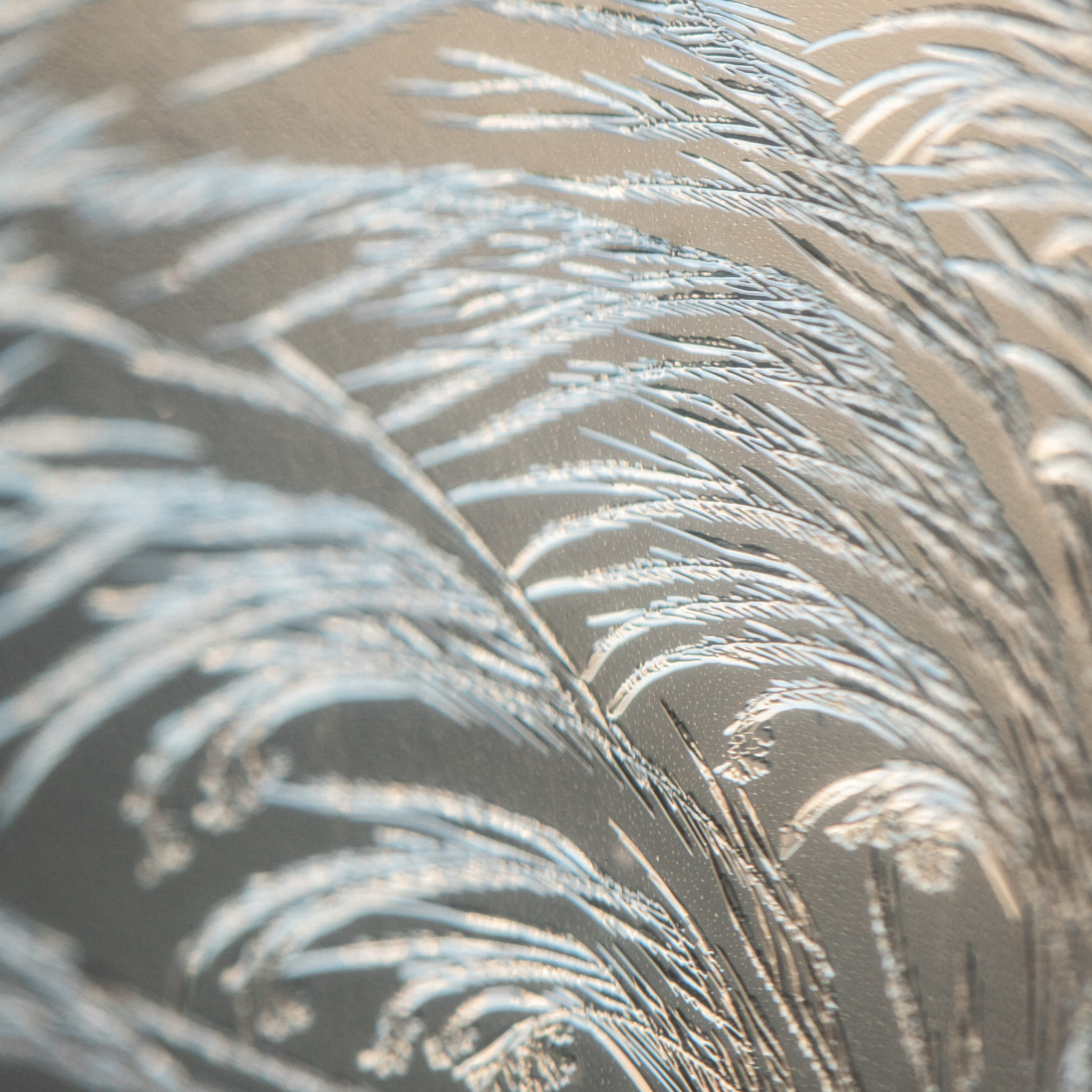 Новые морозные узоры. Портретный и семейный фотограф во Владивостоке Светлана Мухильченко