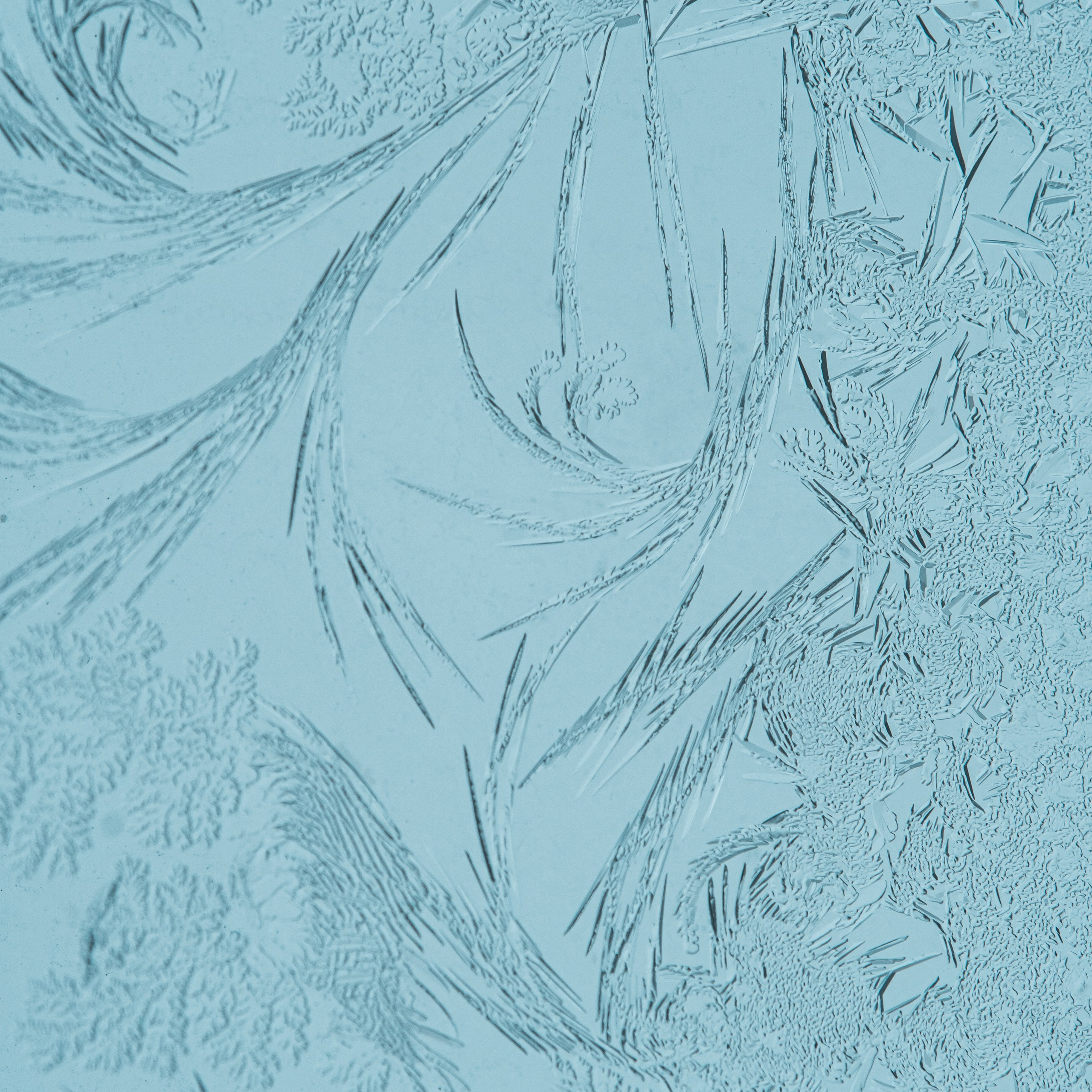 Морозные узоры. Портретный и семейный фотограф во Владивостоке Светлана Мухильченко