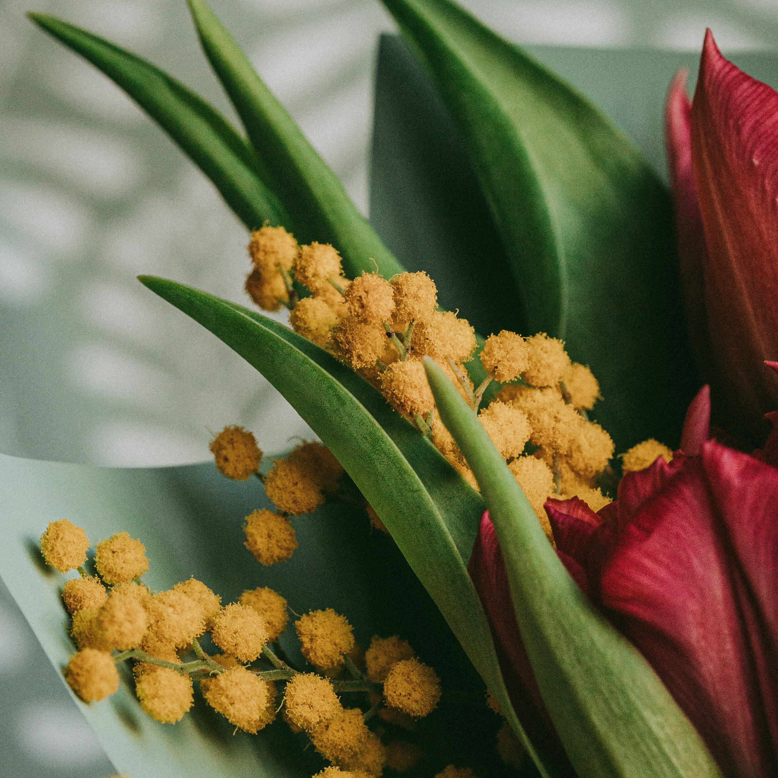 букет к 8 марта spring mood