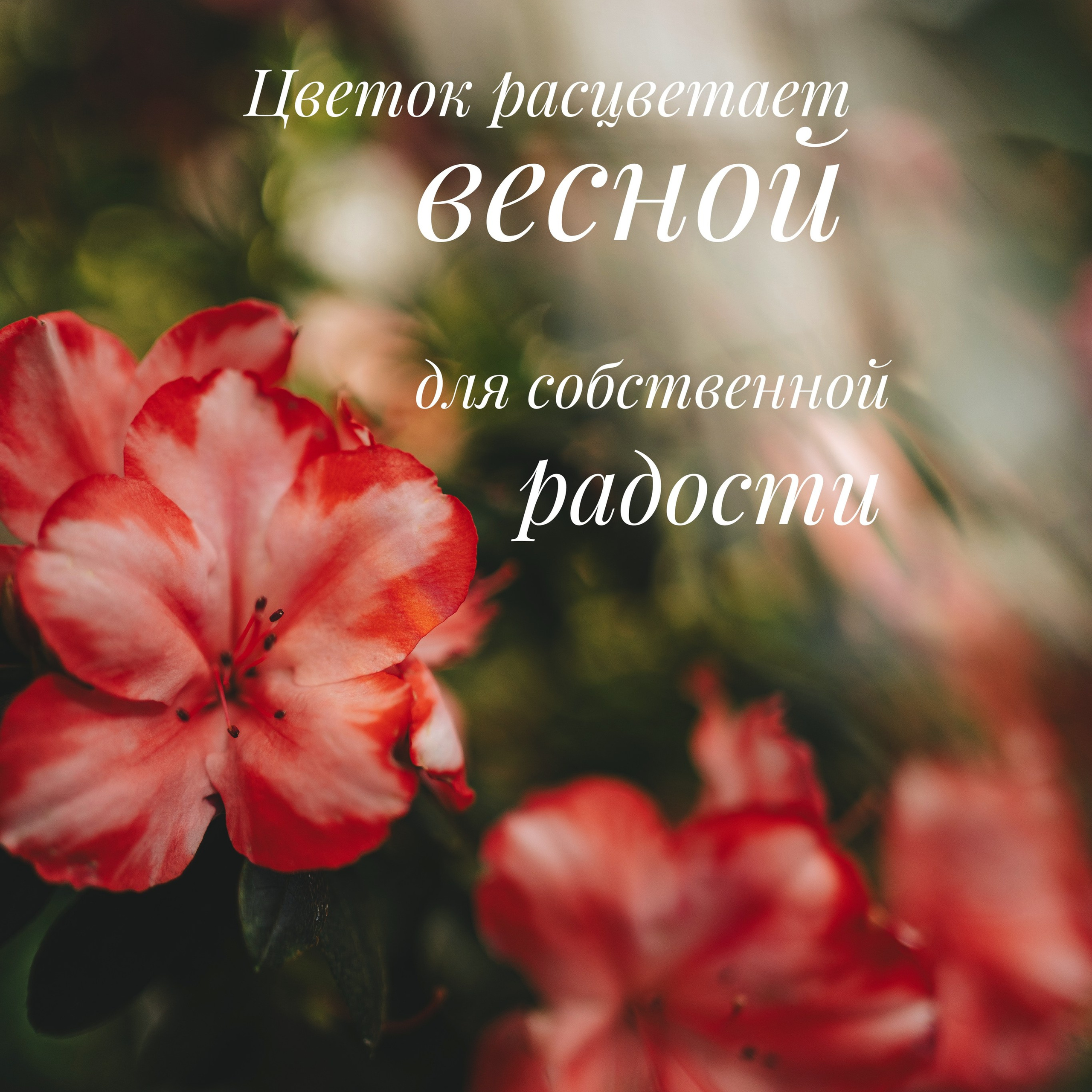 Весеннее настроение на фото