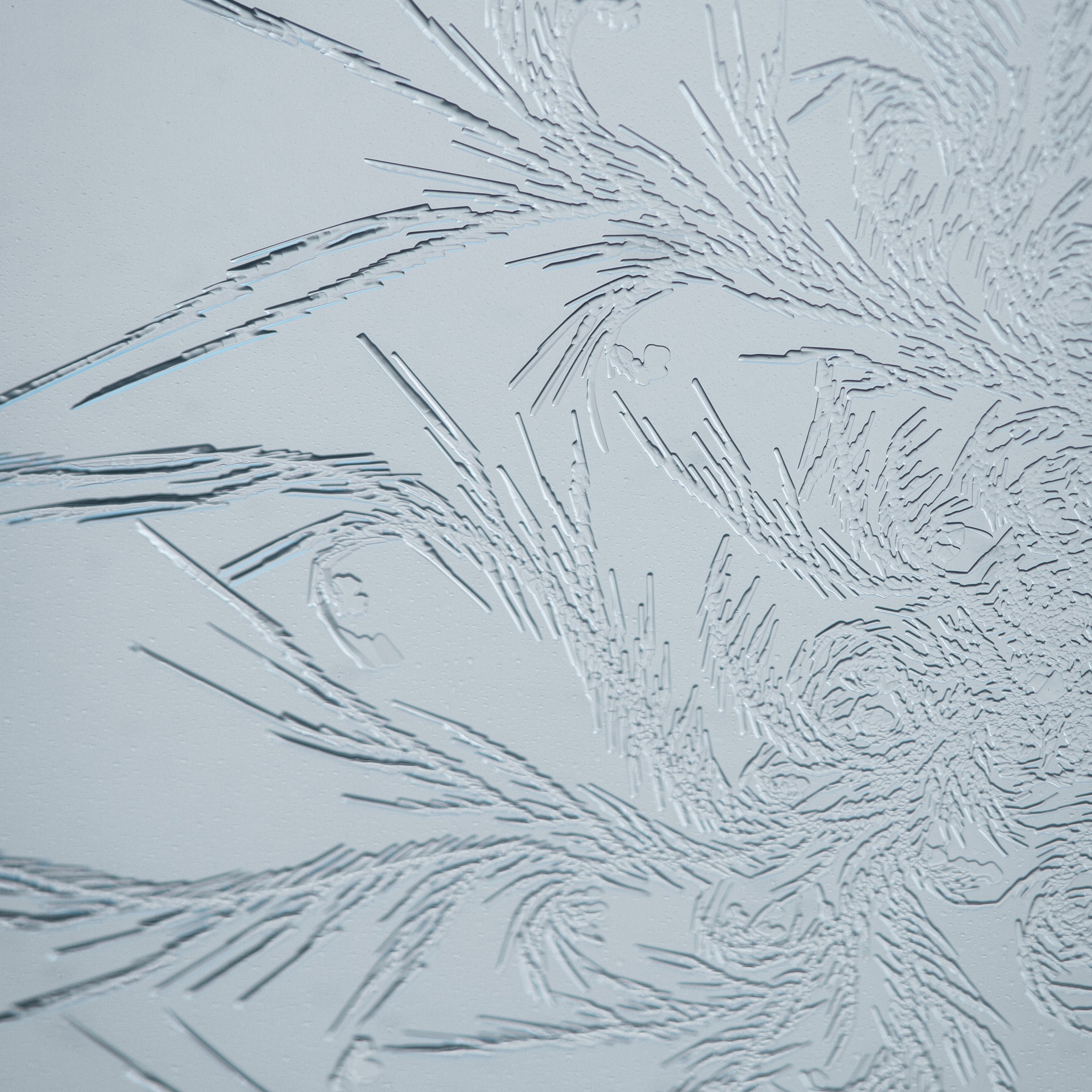 Новые морозные узоры. Портретный и семейный фотограф во Владивостоке Светлана Мухильченко