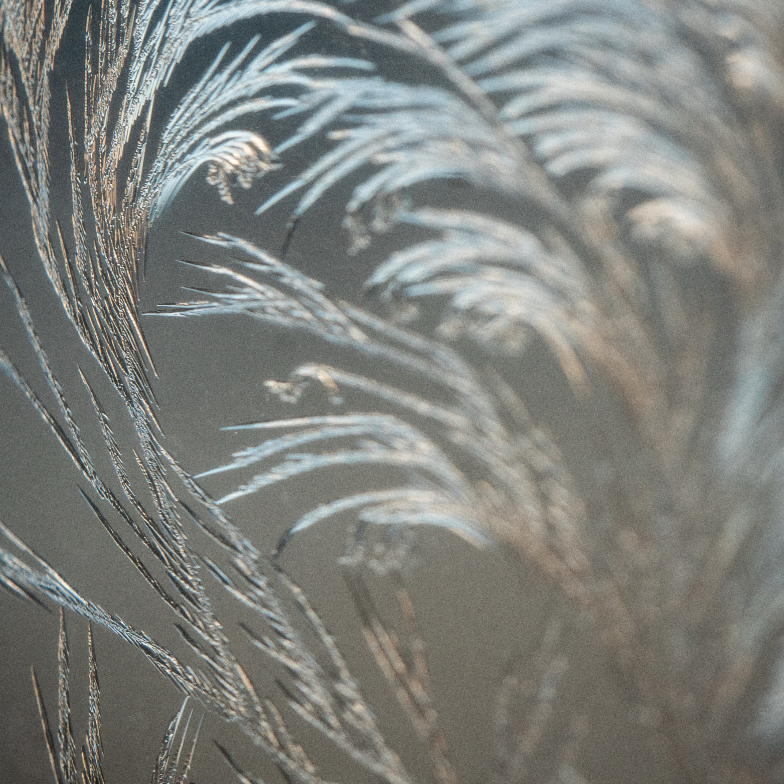 Новые морозные узоры. Портретный и семейный фотограф во Владивостоке Светлана Мухильченко