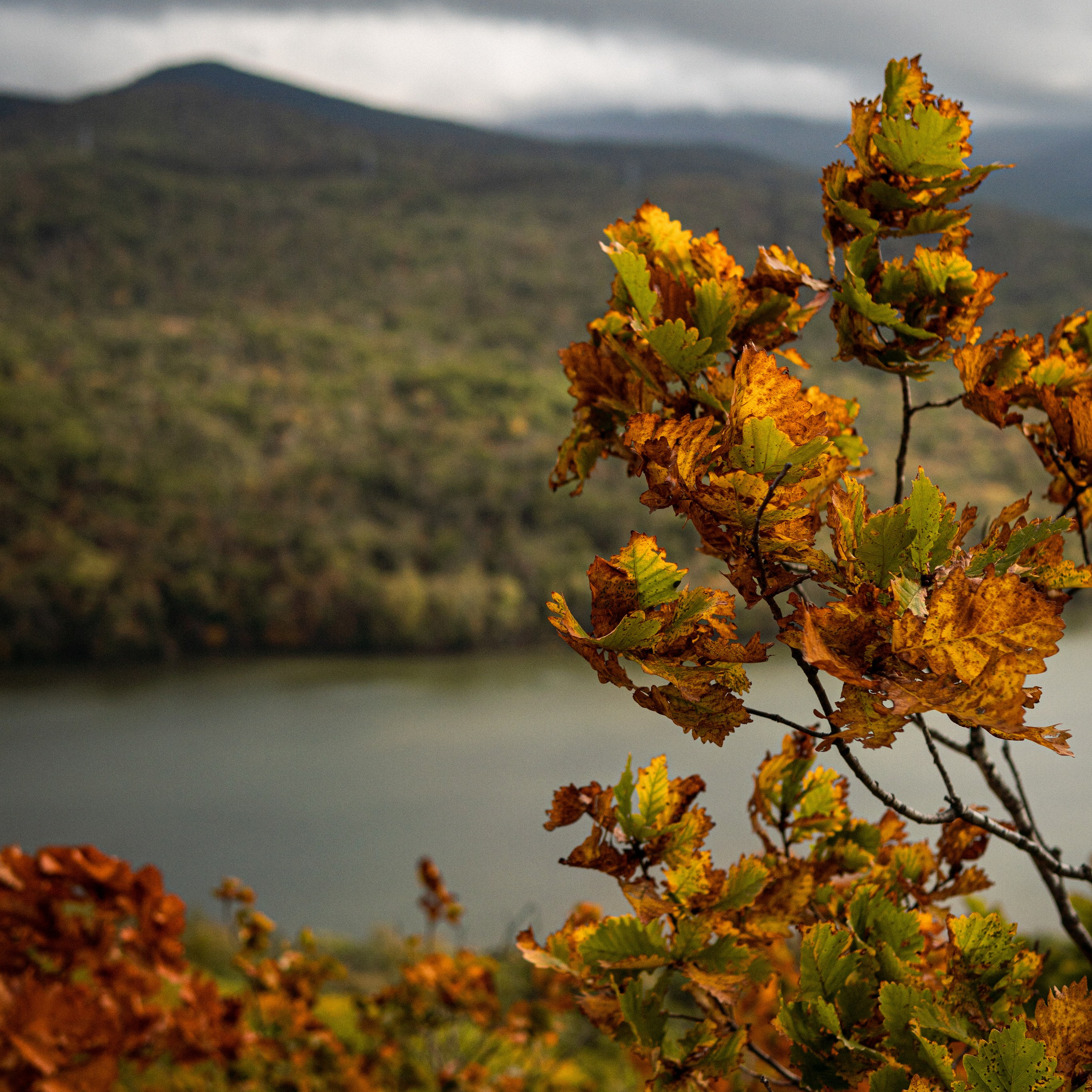 осенний пейзаж
