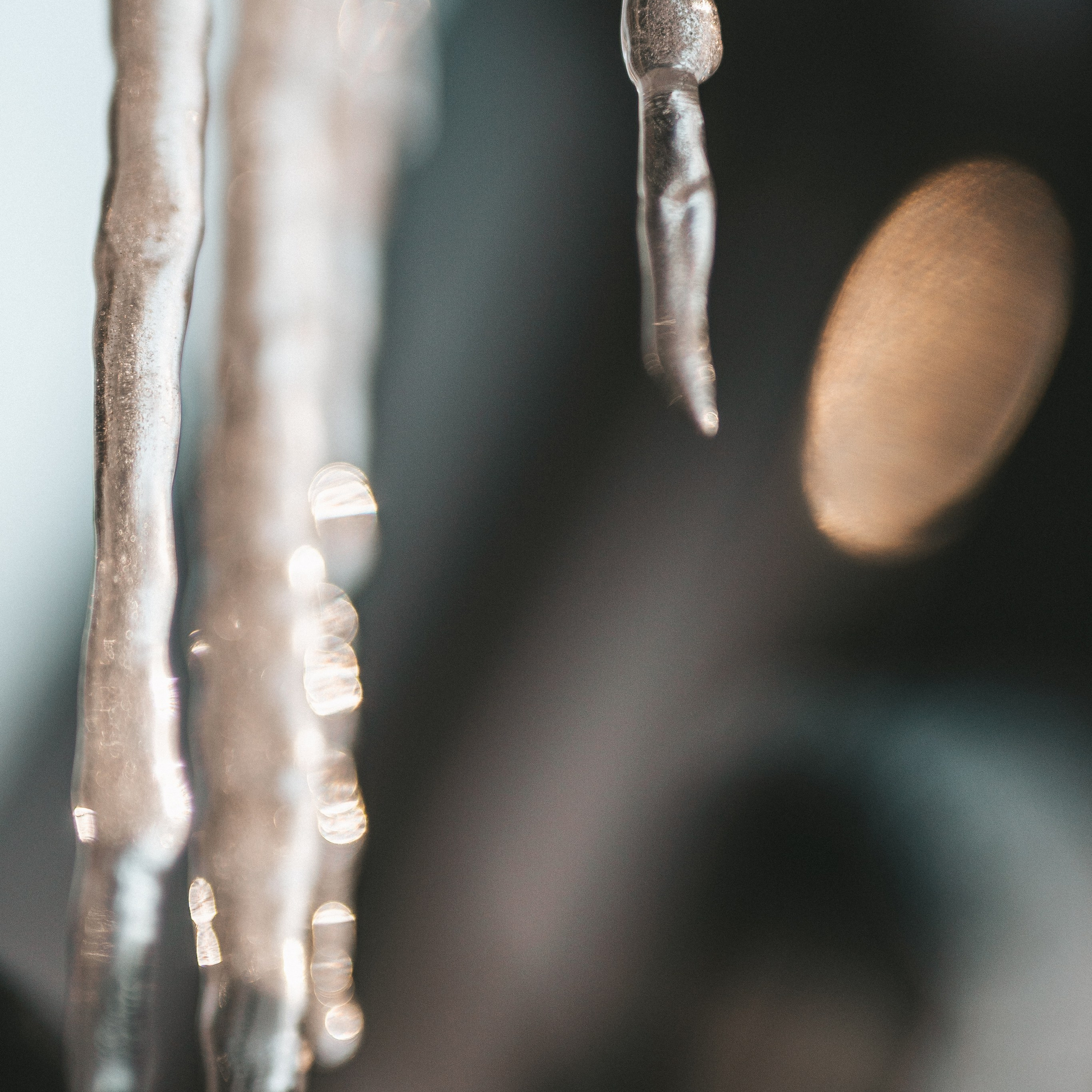 Обои для телефона. Портретный и семейный фотограф во Владивостоке Светлана Мухильченко