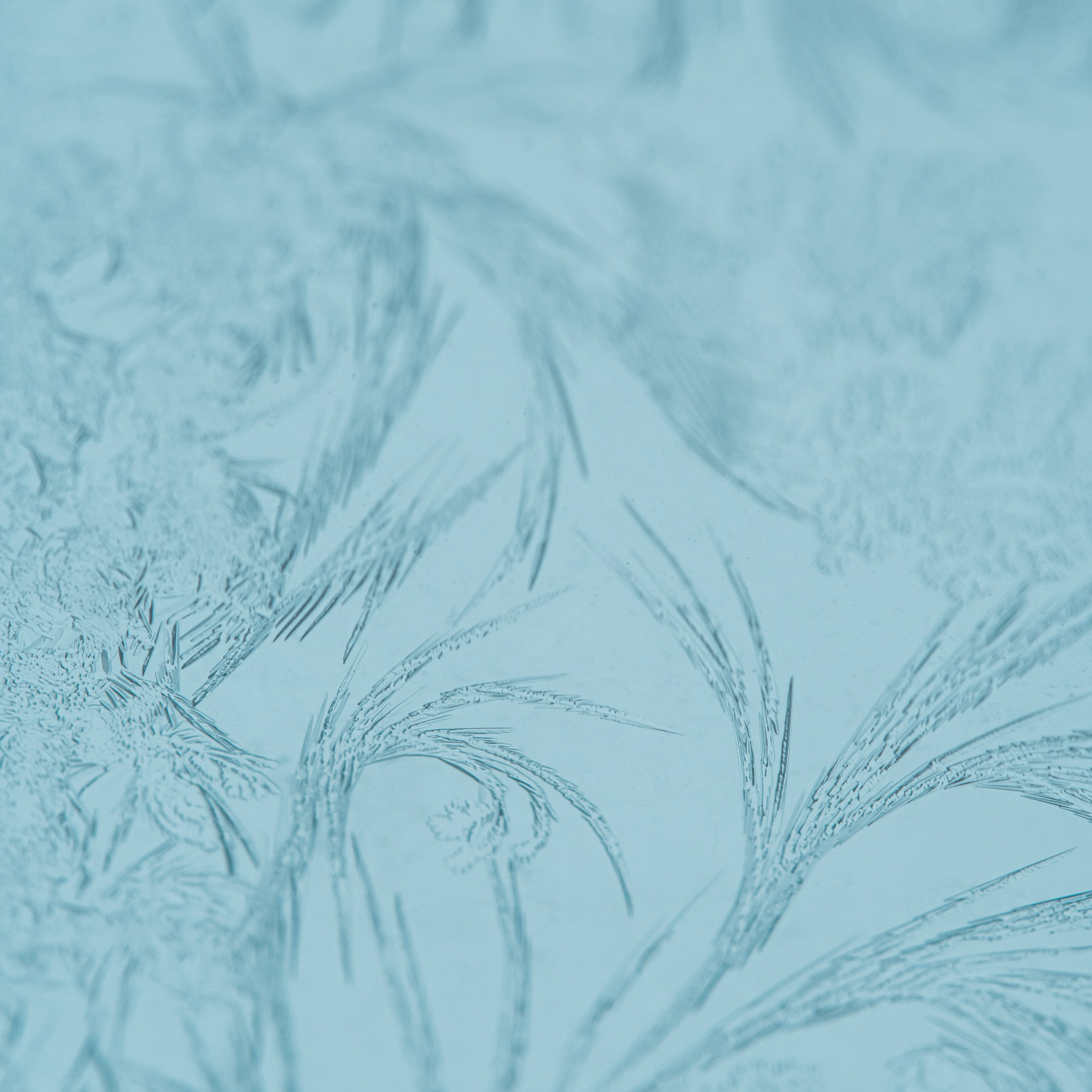 Frost patterns