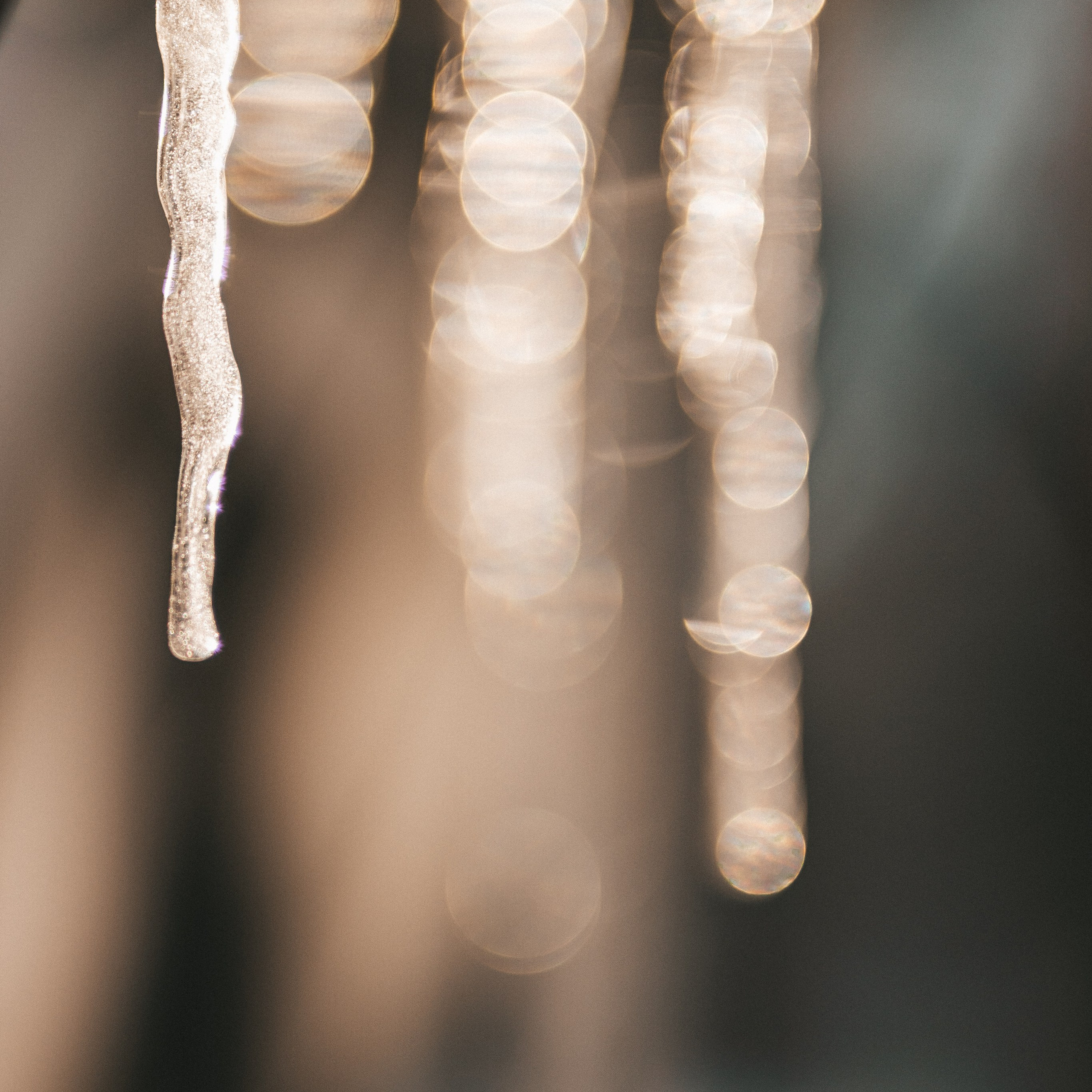 Сосульки в закатном солнце