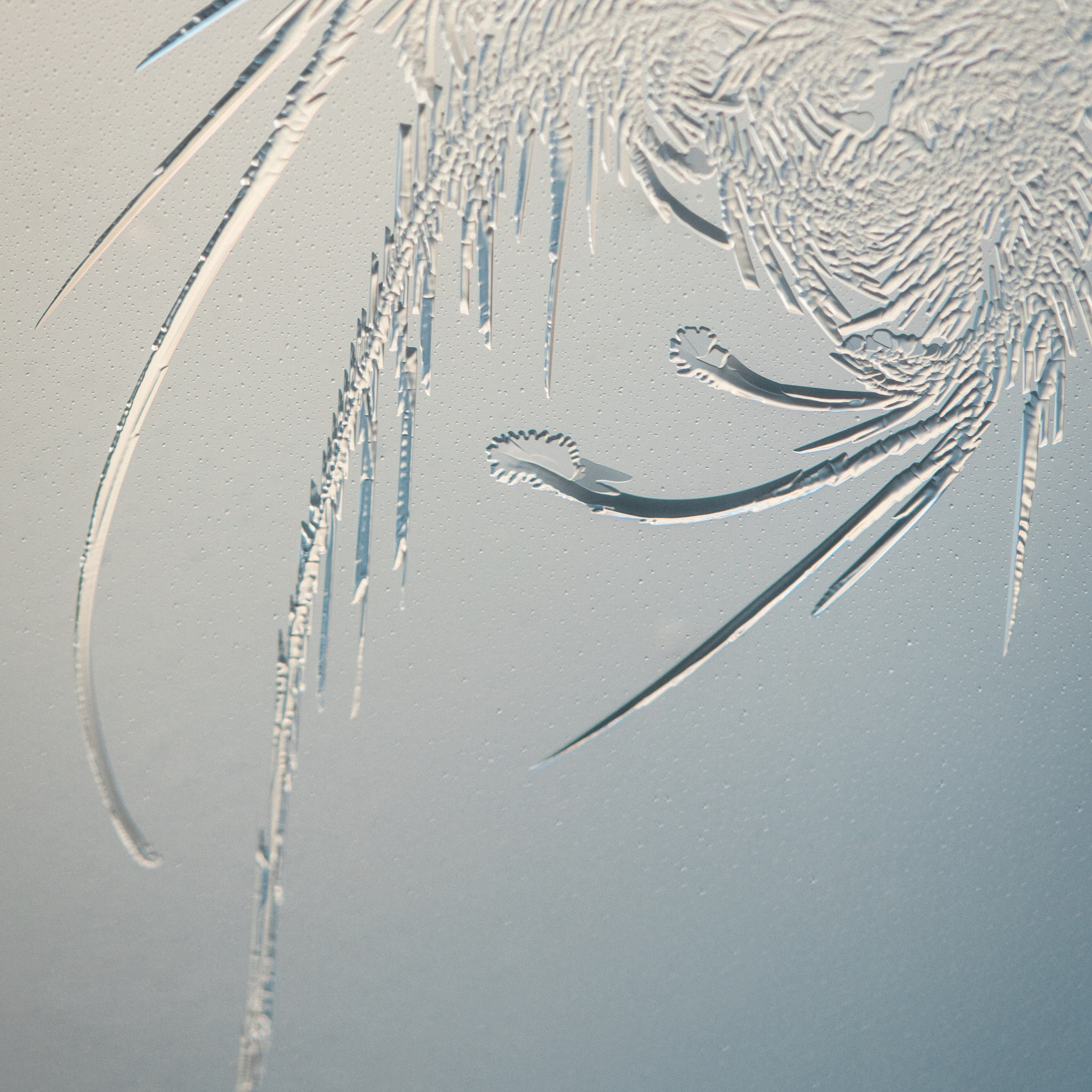 Новые морозные узоры. Портретный и семейный фотограф во Владивостоке Светлана Мухильченко