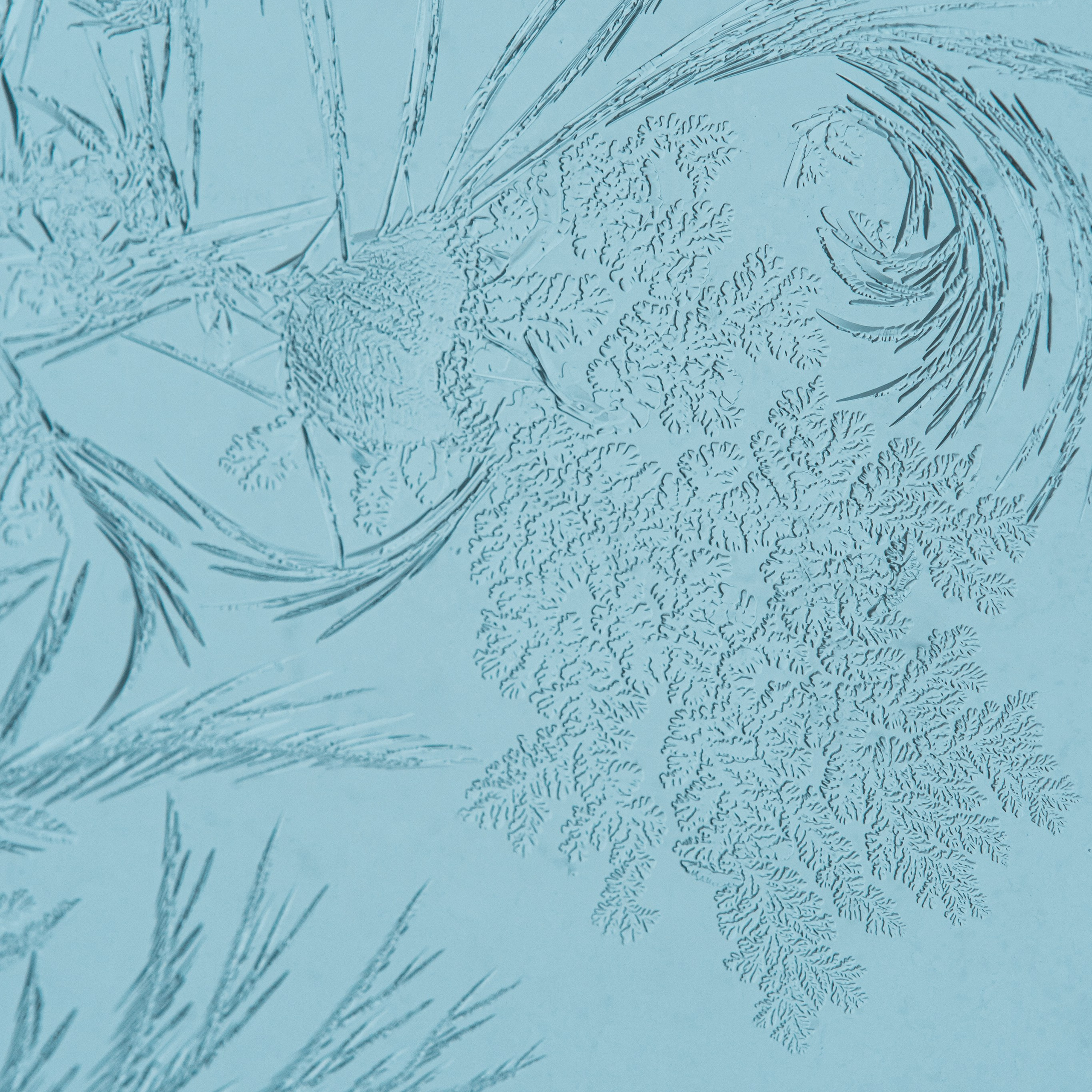 Морозные узоры. Портретный и семейный фотограф во Владивостоке Светлана Мухильченко