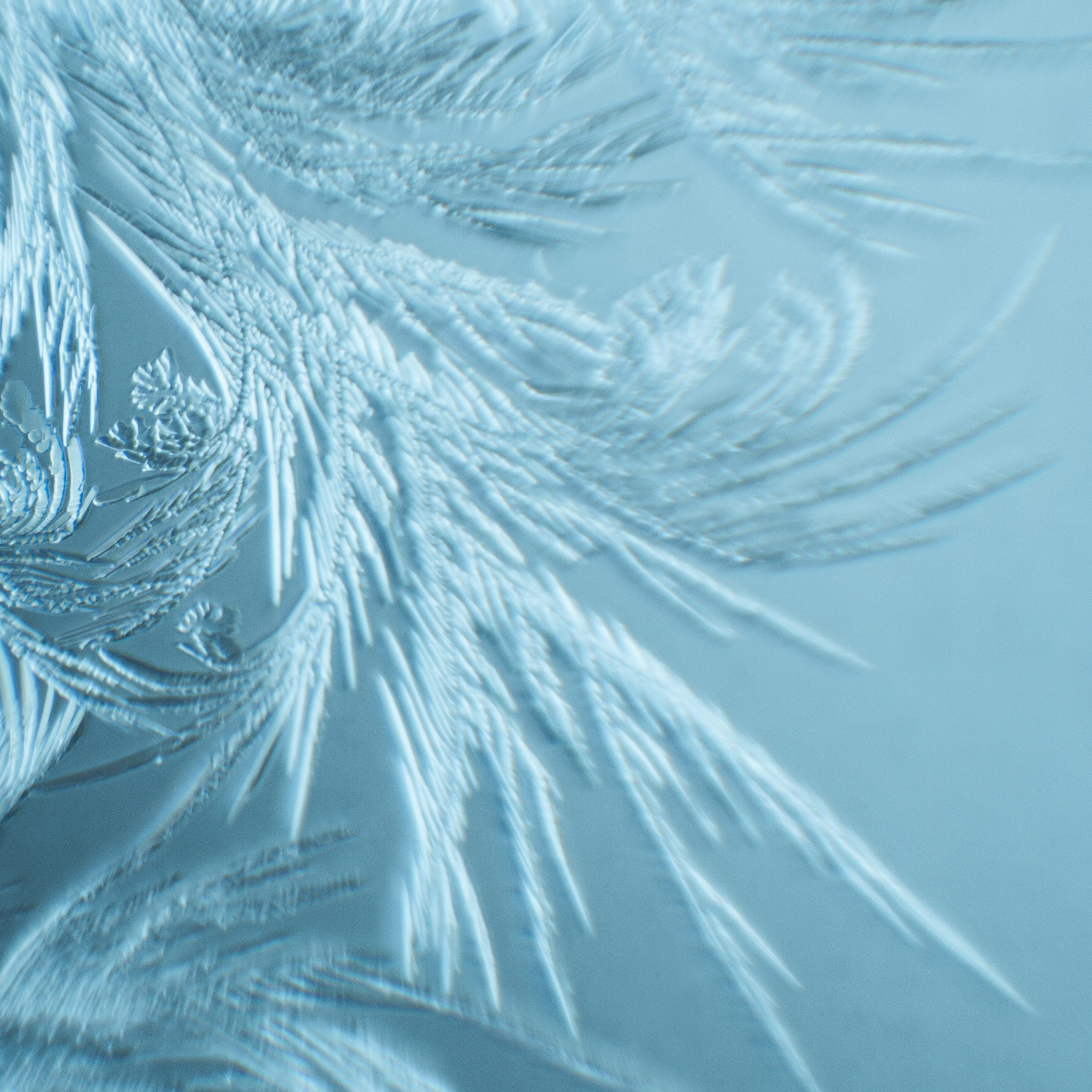 зимние обои скачать