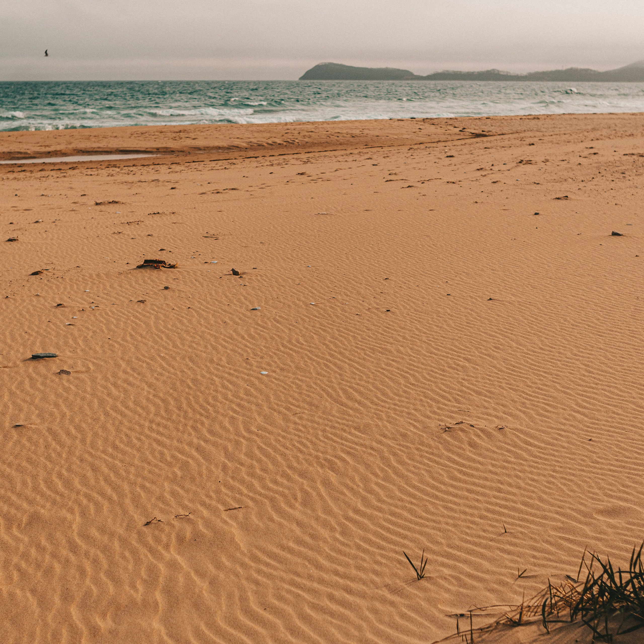 песчаный морской берег