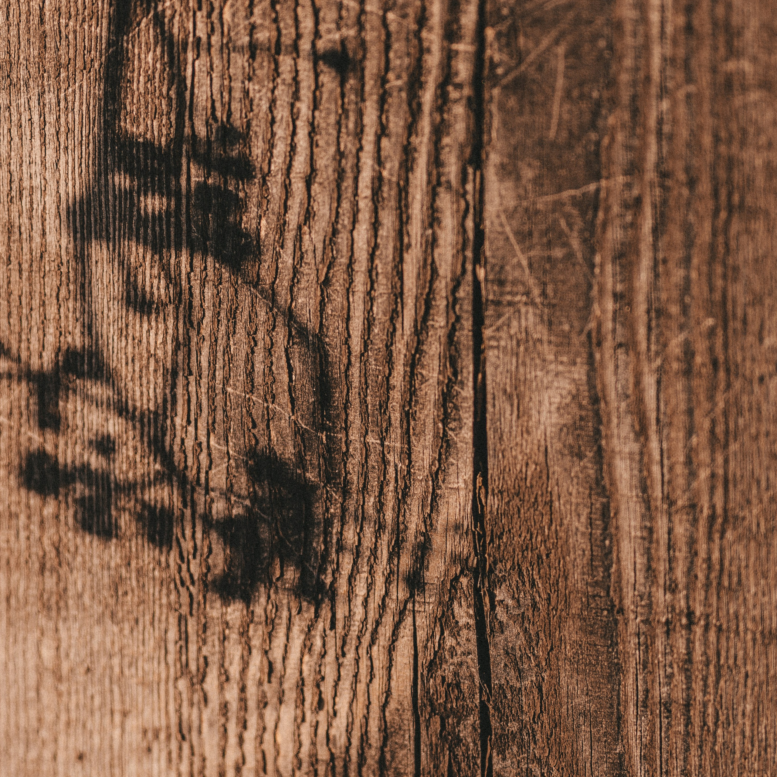 Обои для телефона. Портретный и семейный фотограф во Владивостоке Светлана Мухильченко