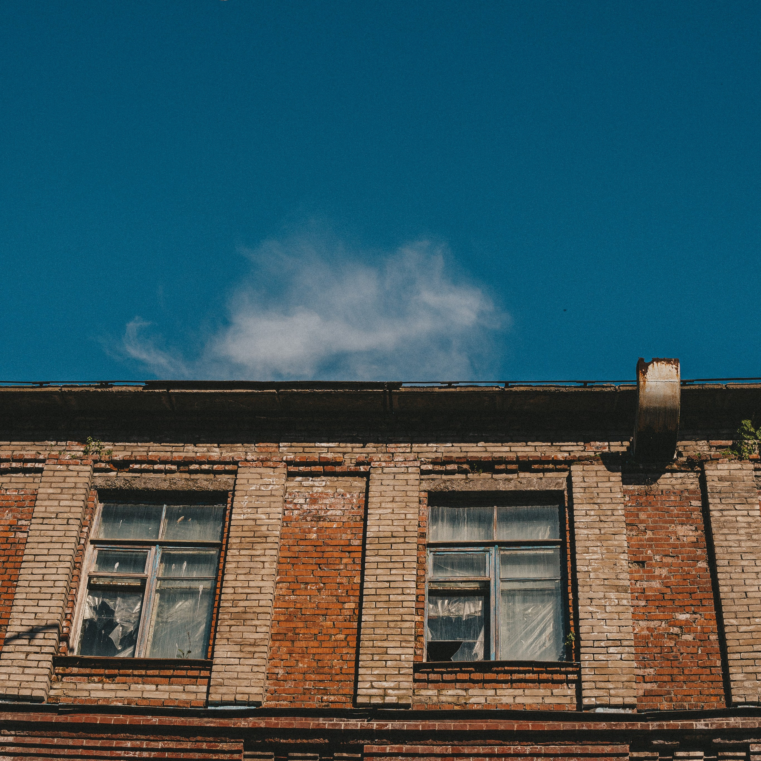 разрушенное здание и чайка в небе