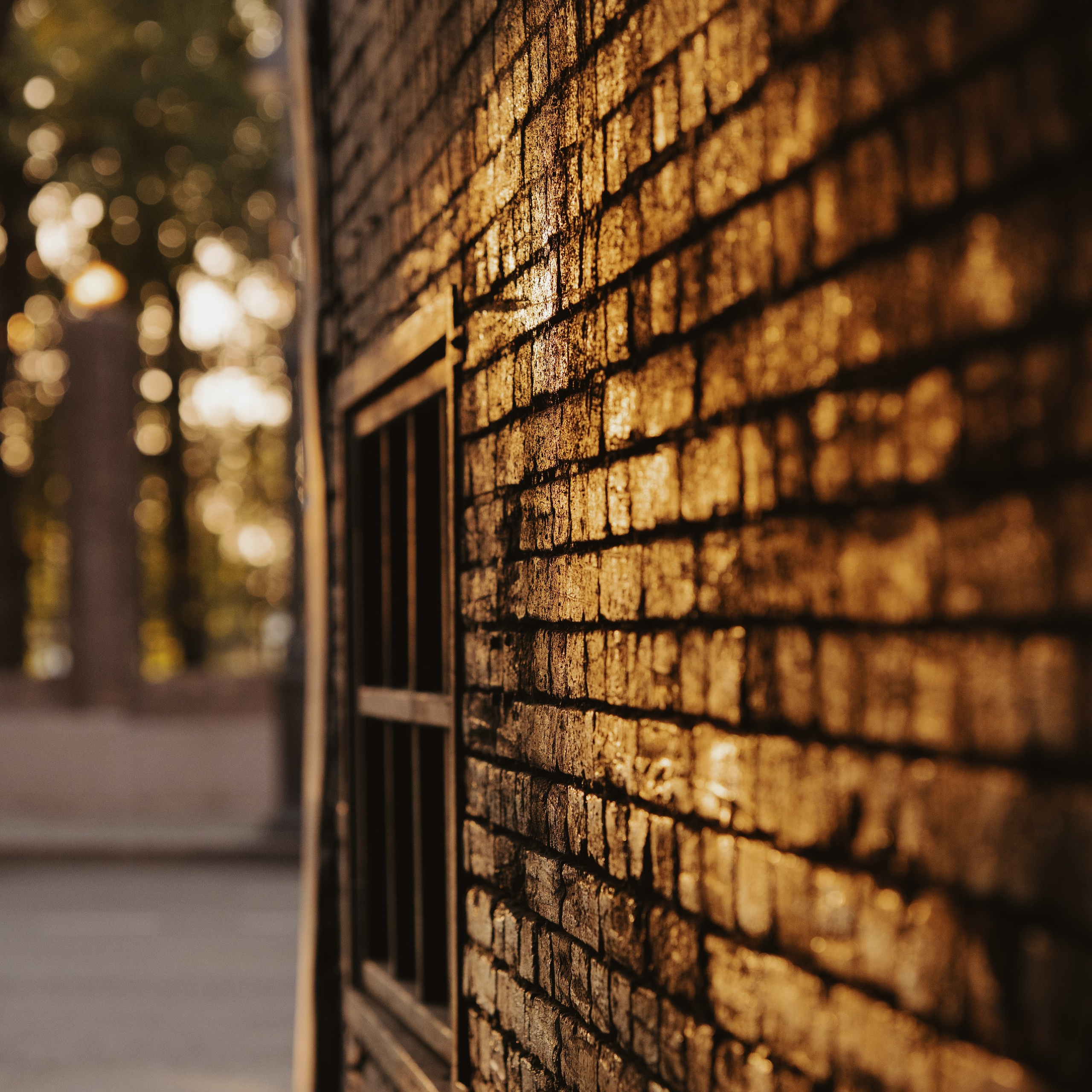 Картинки про Владивосток. Портретный и семейный фотограф во Владивостоке Светлана Мухильченко