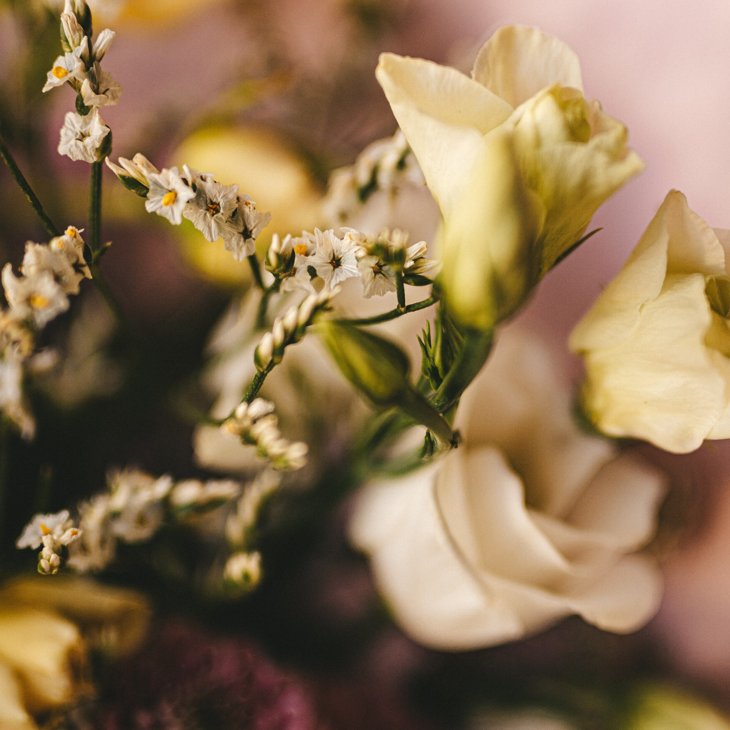 весенний букет цветов spring mood