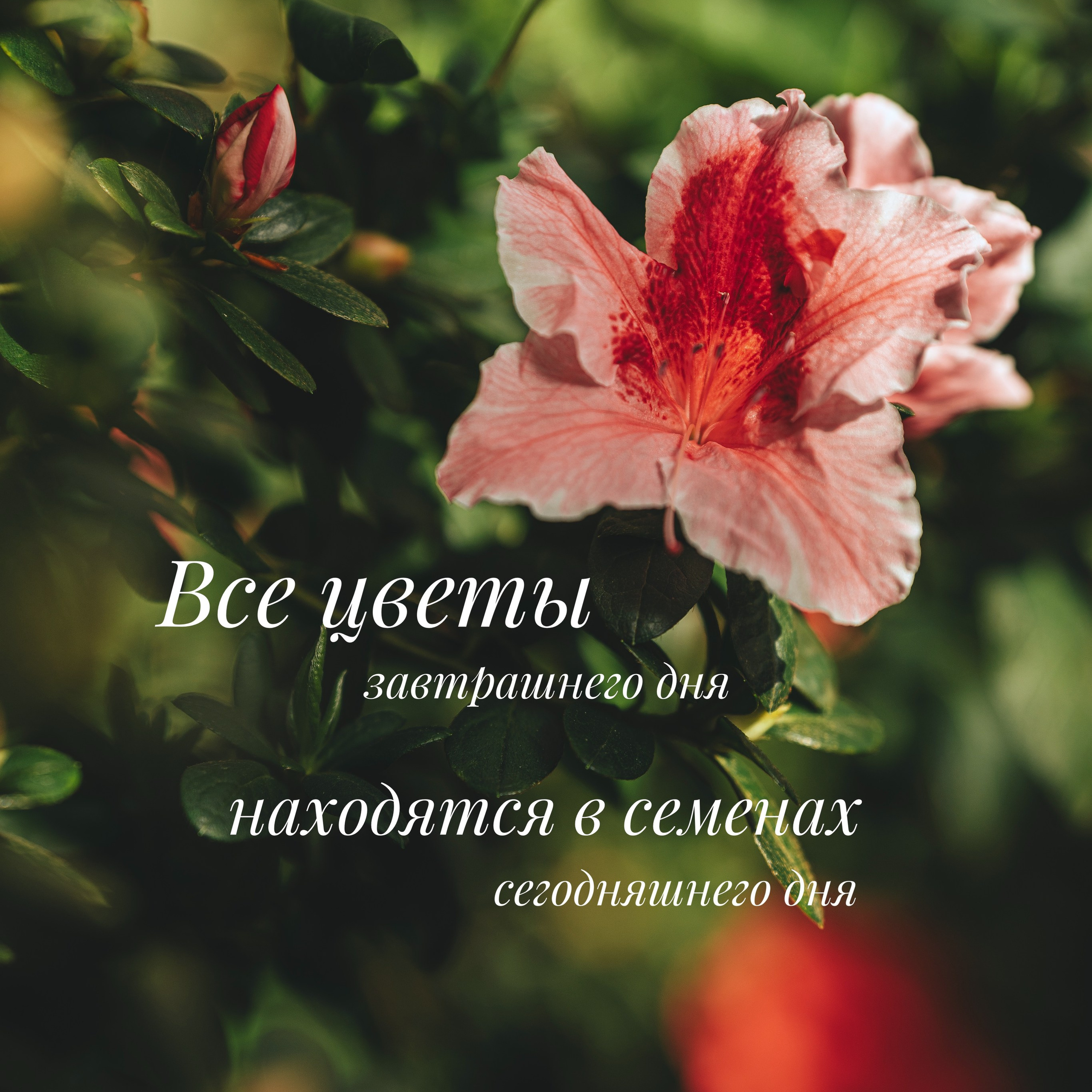 Начало весны фото