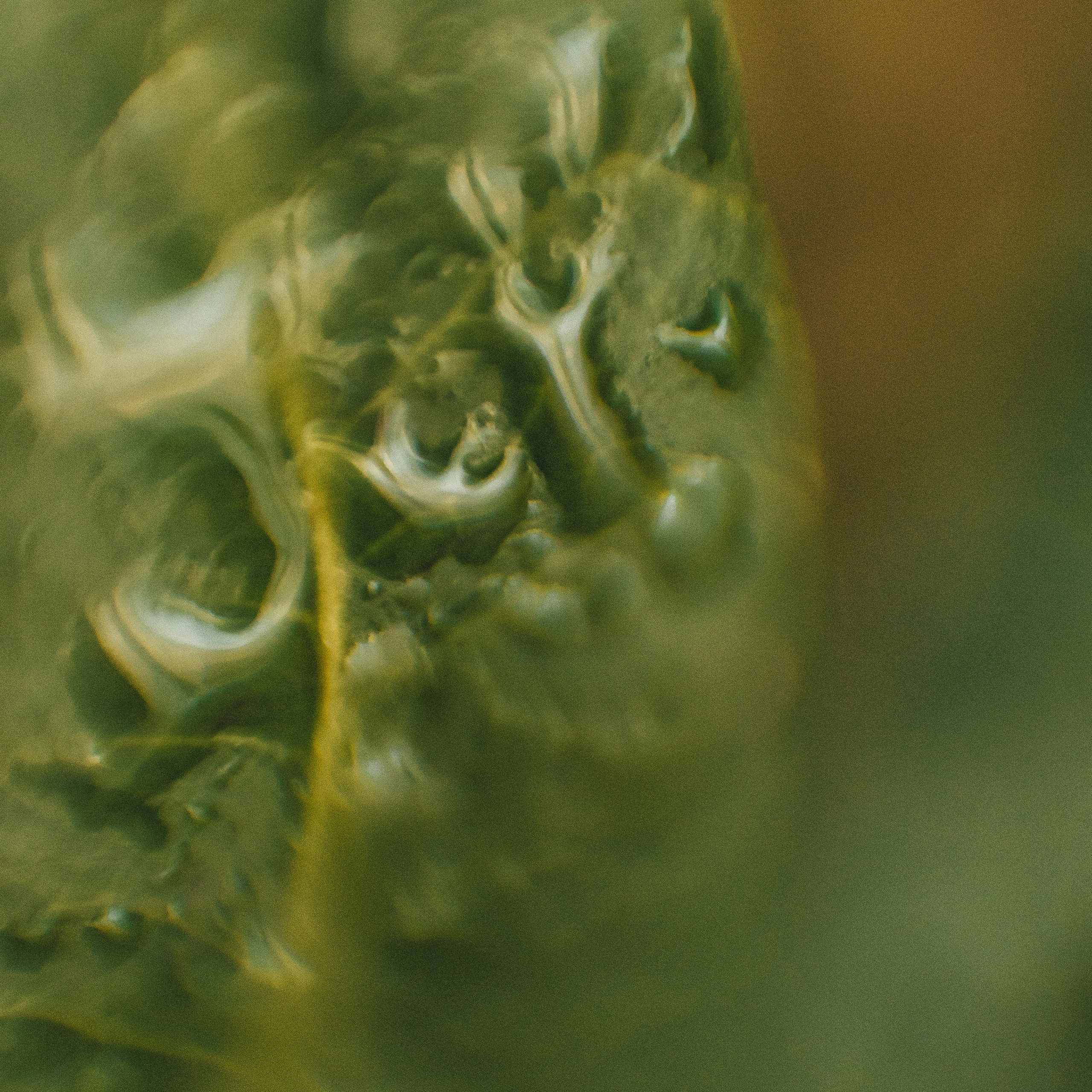 Зеленый лист с каплями