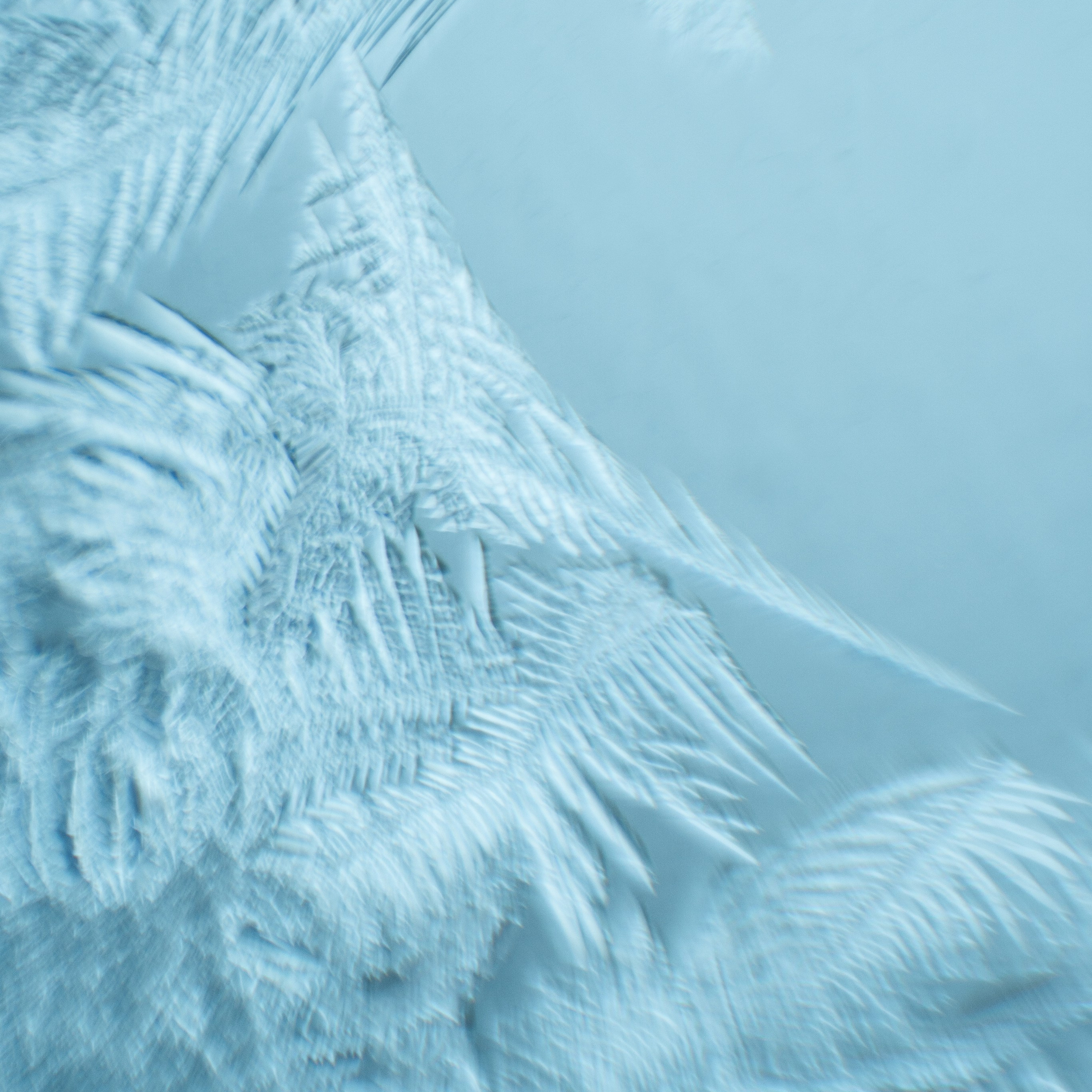 Морозные узоры. Портретный и семейный фотограф во Владивостоке Светлана Мухильченко