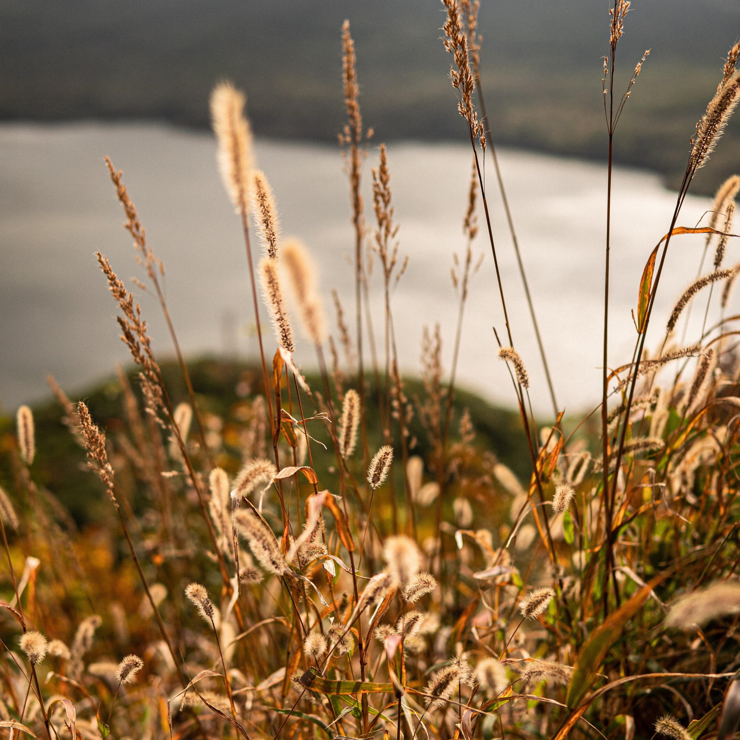Осеннее настроение. Портретный и семейный фотограф во Владивостоке Светлана Мухильченко
