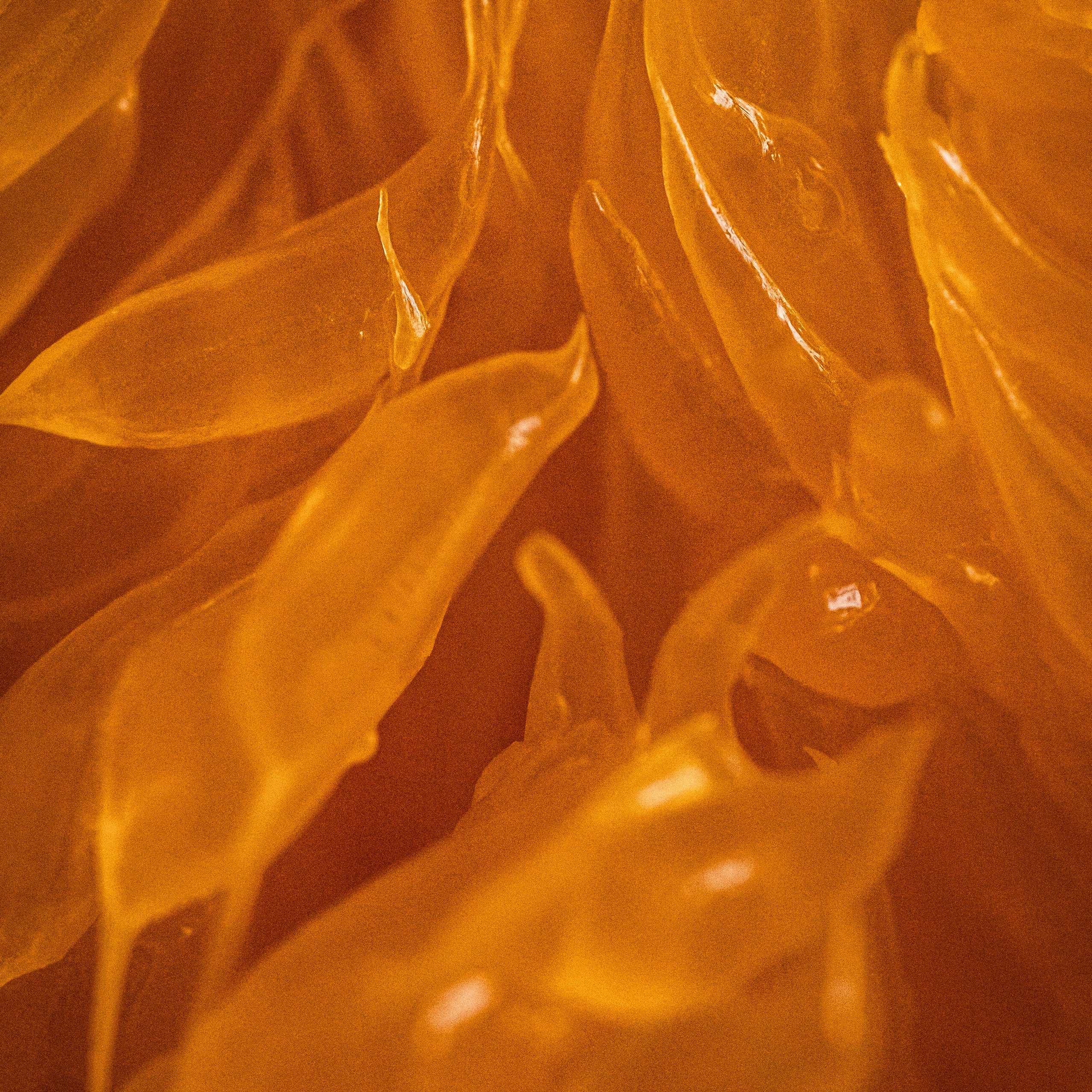 мандарин в разрезе макро