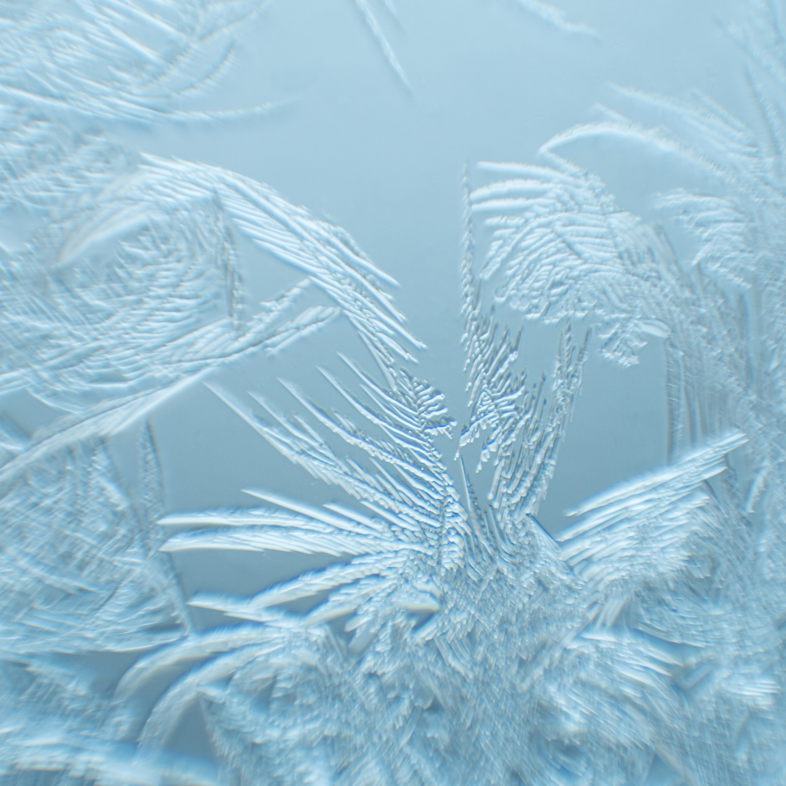 Морозные узоры. Портретный и семейный фотограф во Владивостоке Светлана Мухильченко