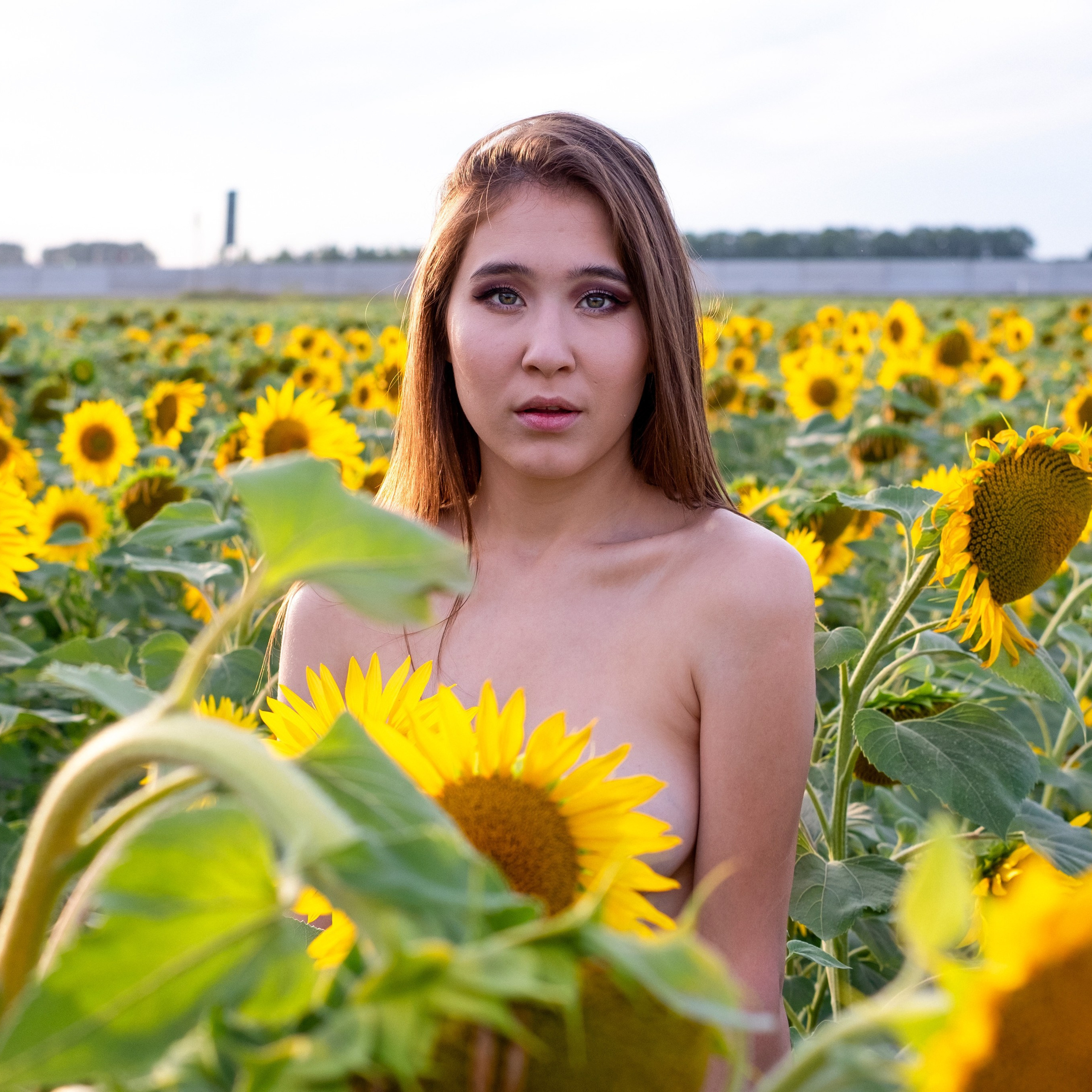 Мобилография – коллекция фотографий, сделанных на смартфон | Ню-фотография. Профессиональная ню фотография и TFP съемки