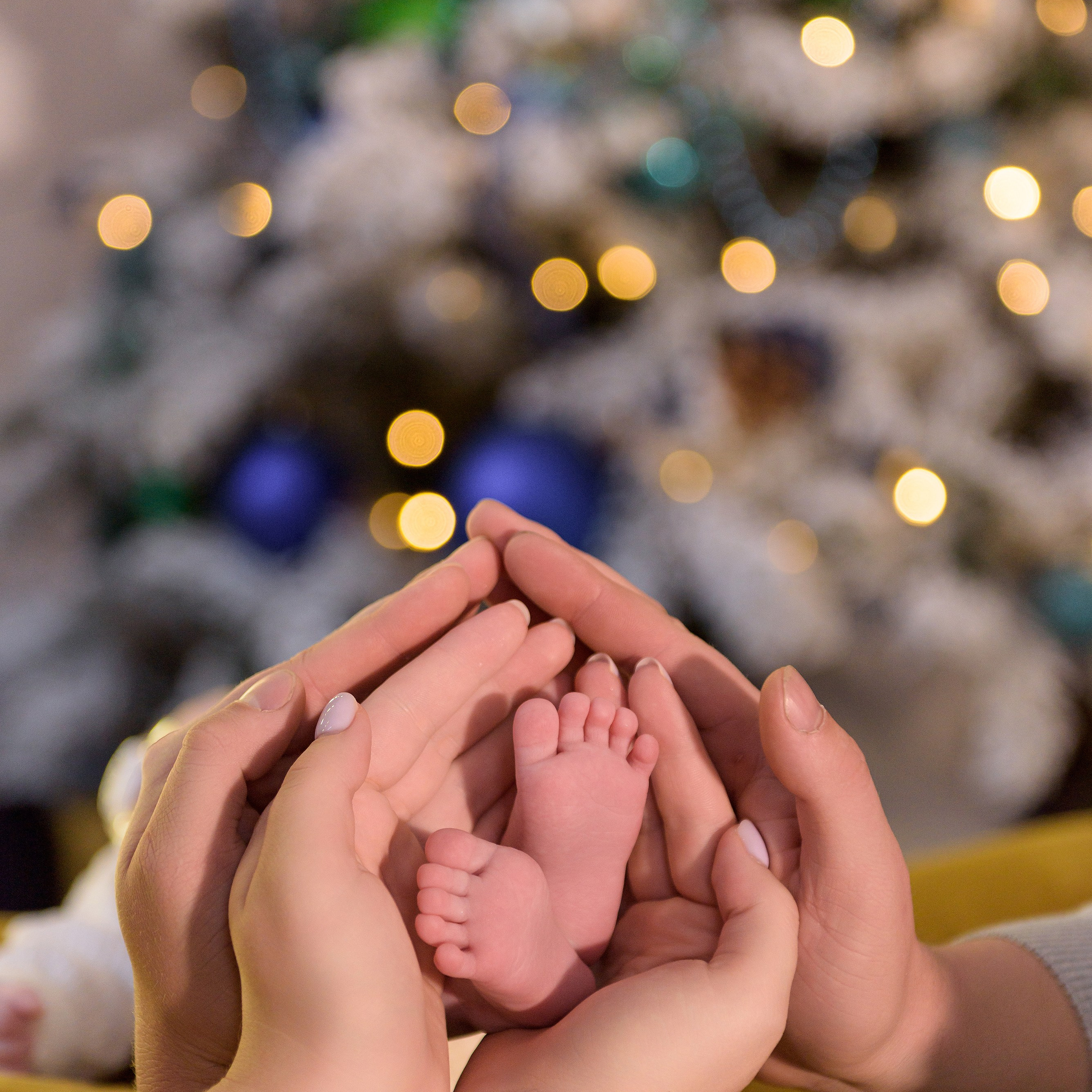 Новогодний Норд