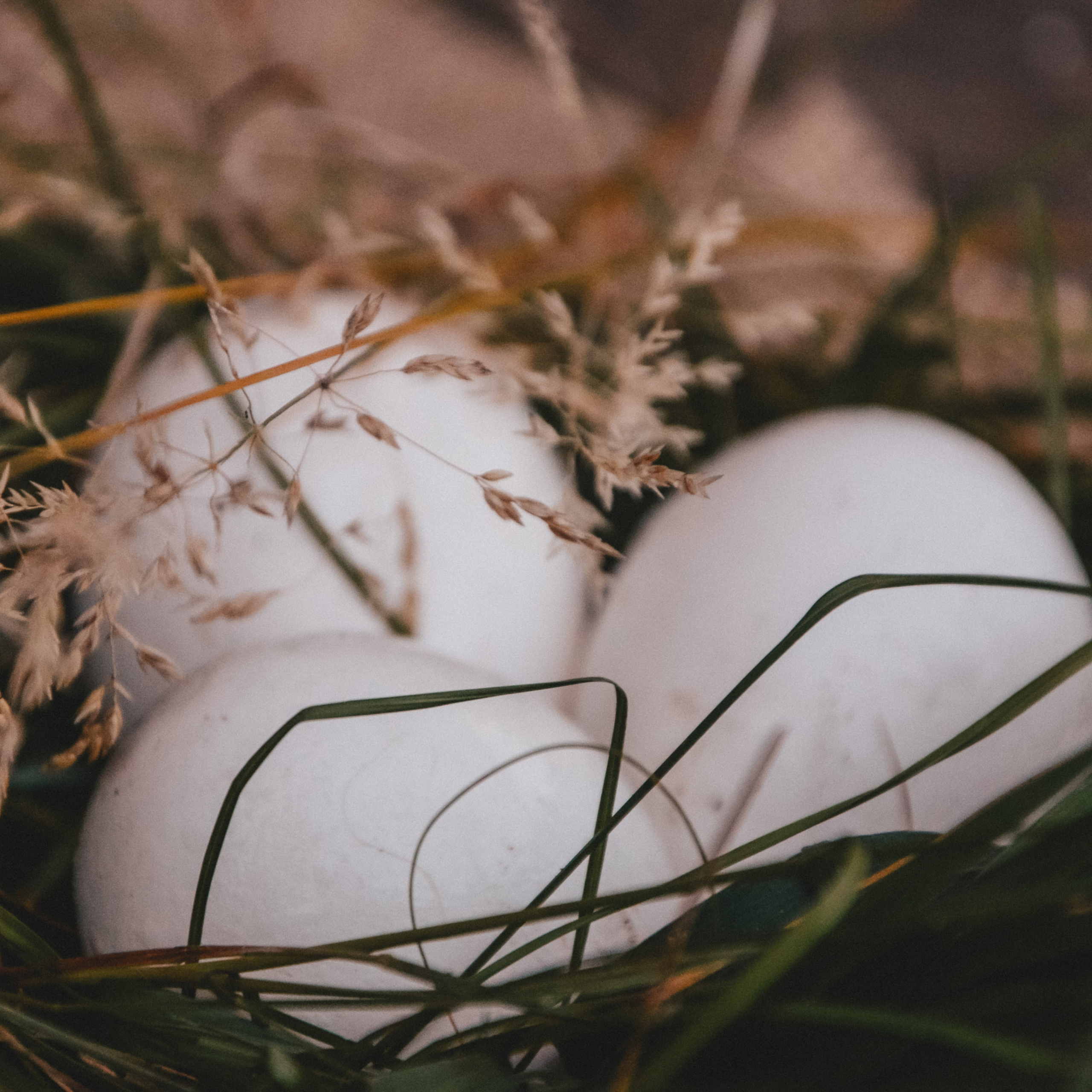 Без названия