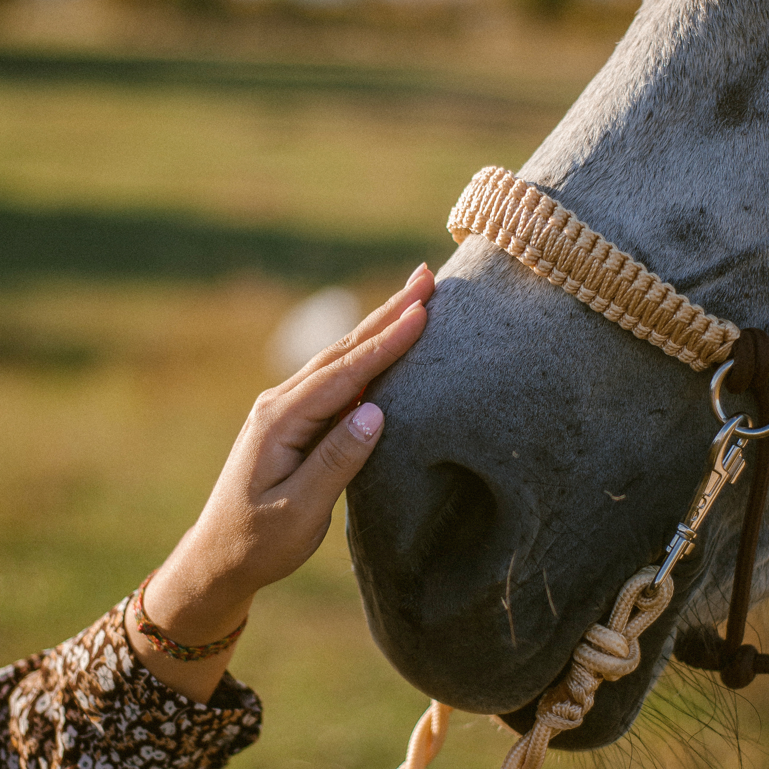 Без названия