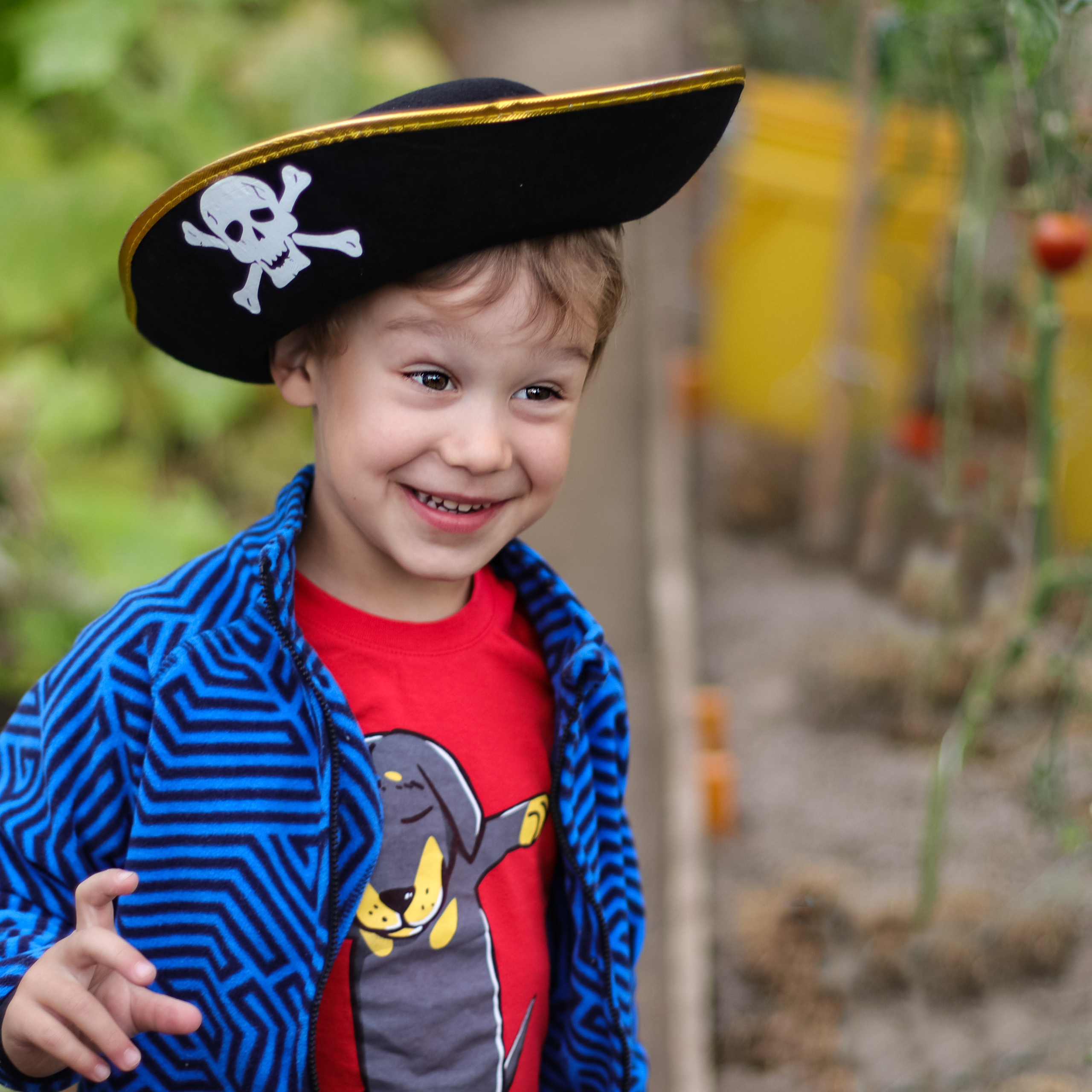 Отзывы. Семейный и детский фотограф в Краснознаменске Виктория Санкина