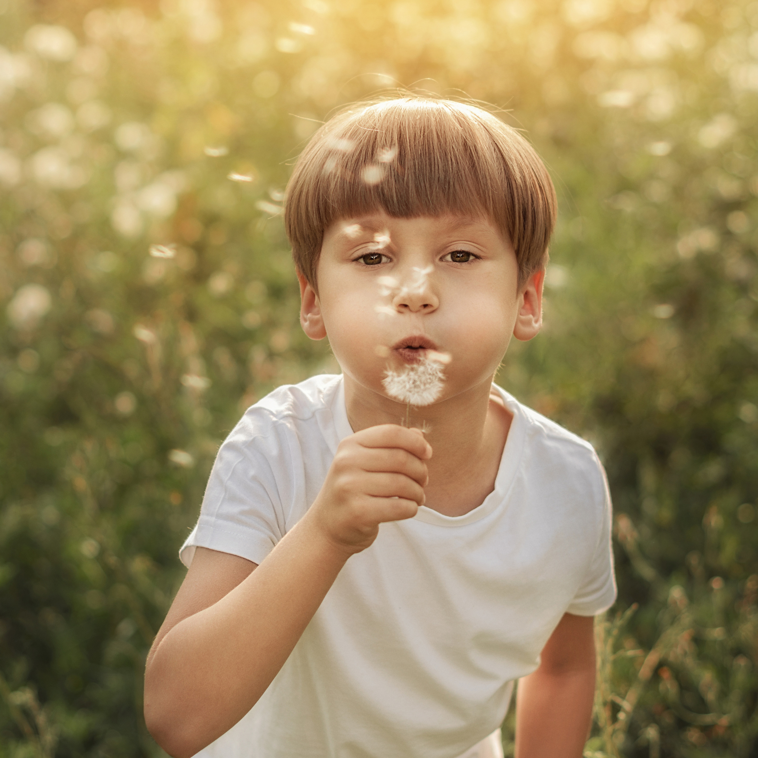 Данька Одуван