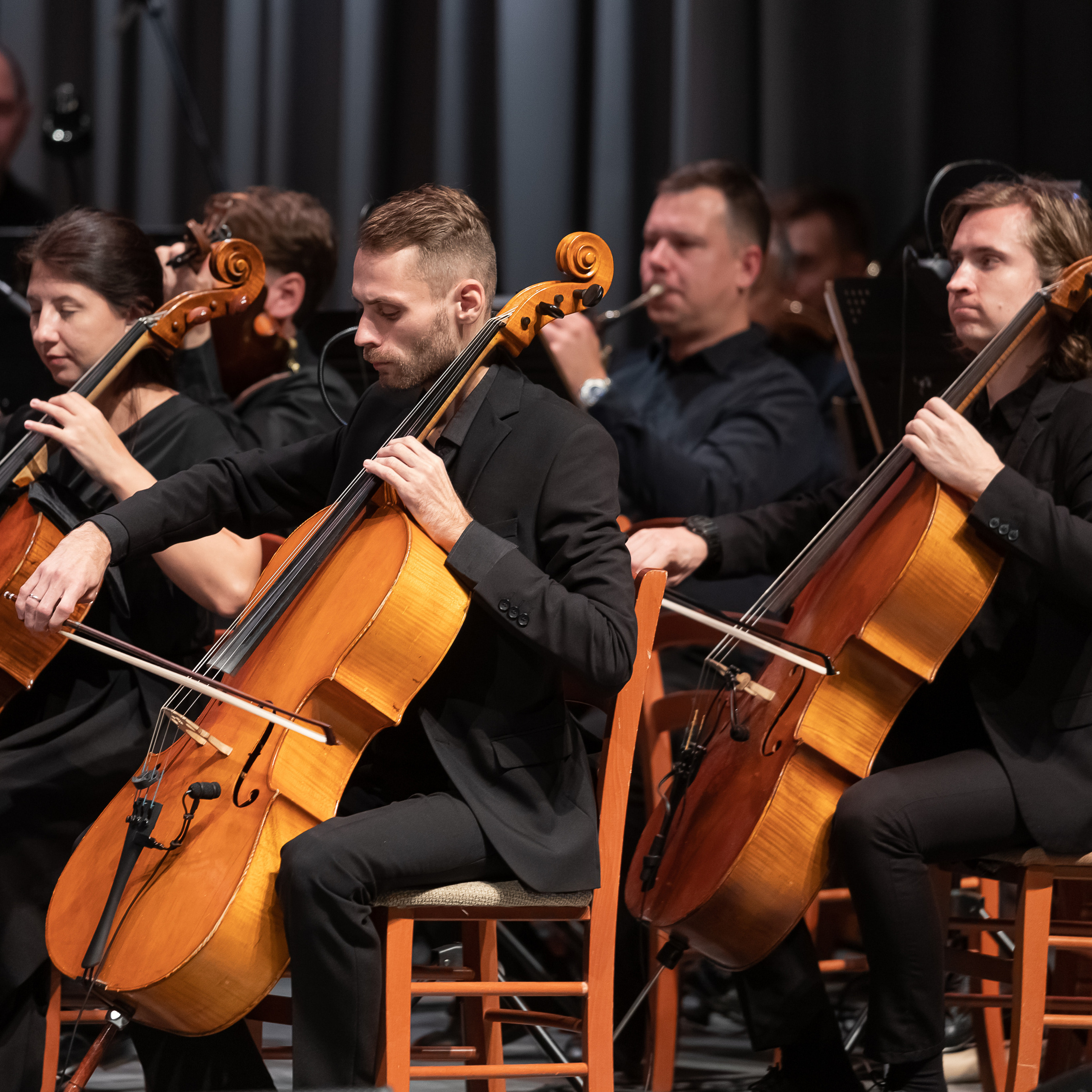 Концерты. Филармония