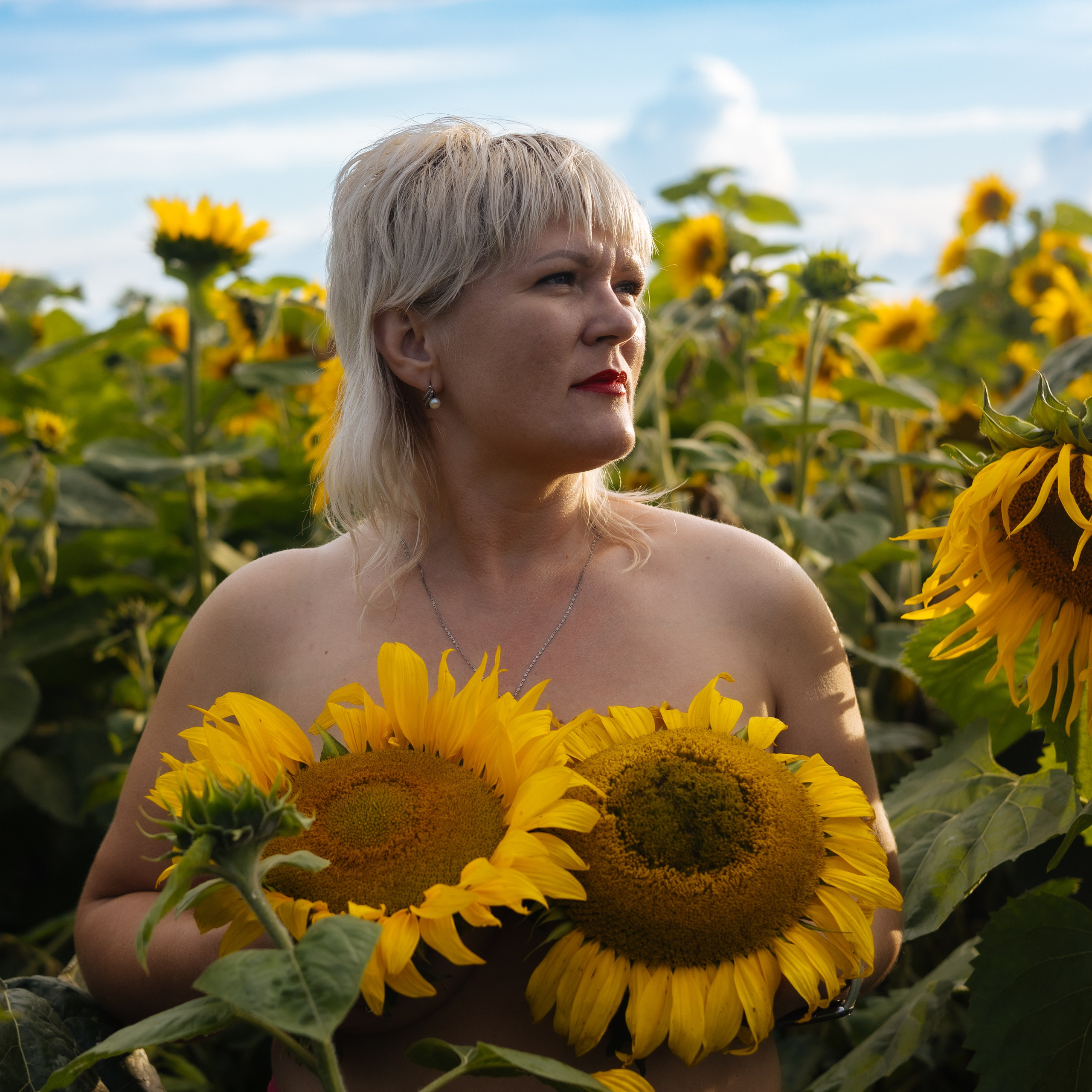 ПОДСОЛНУХИ 2025