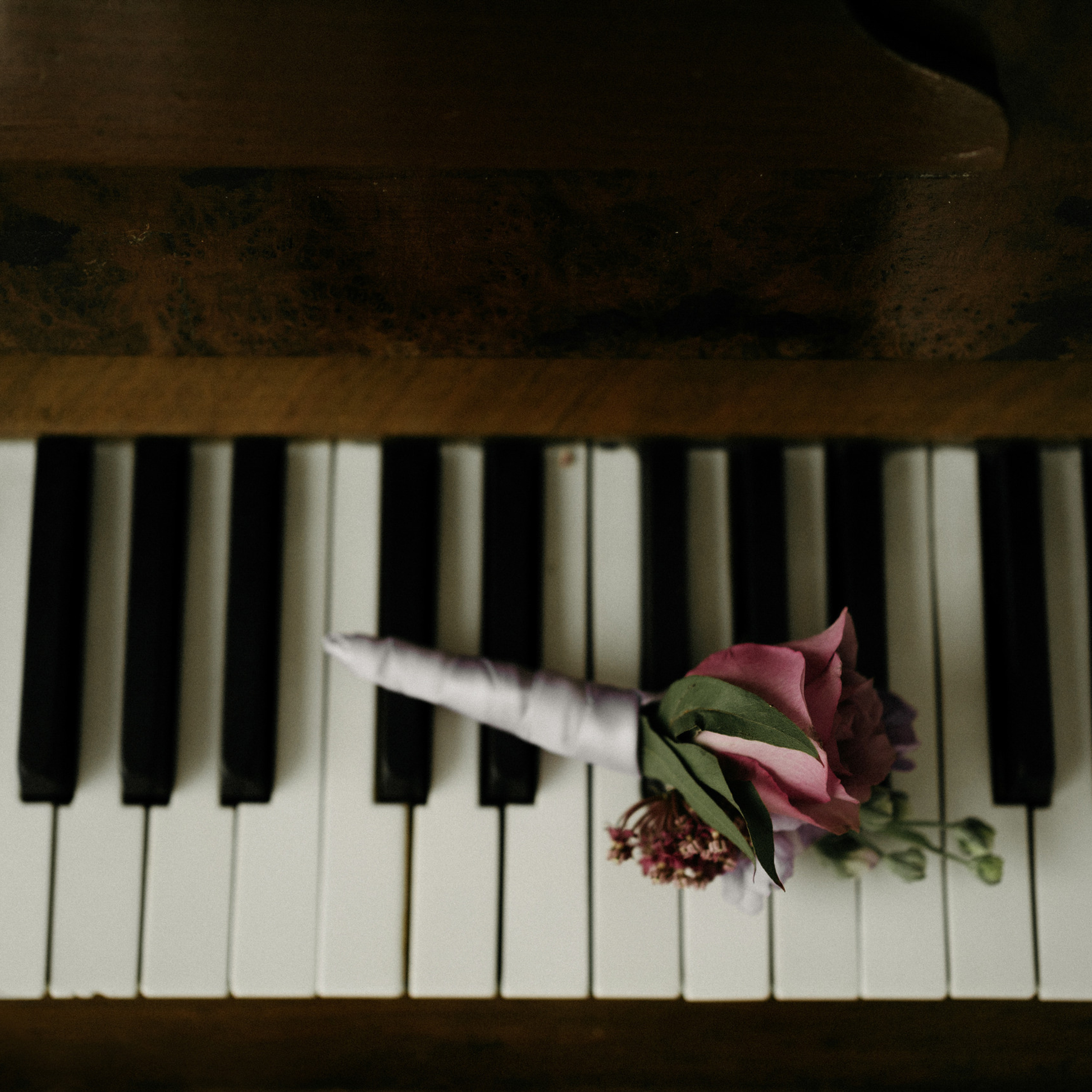 Отзывы. Свадебный фотограф в Петербурге Таша Вайб