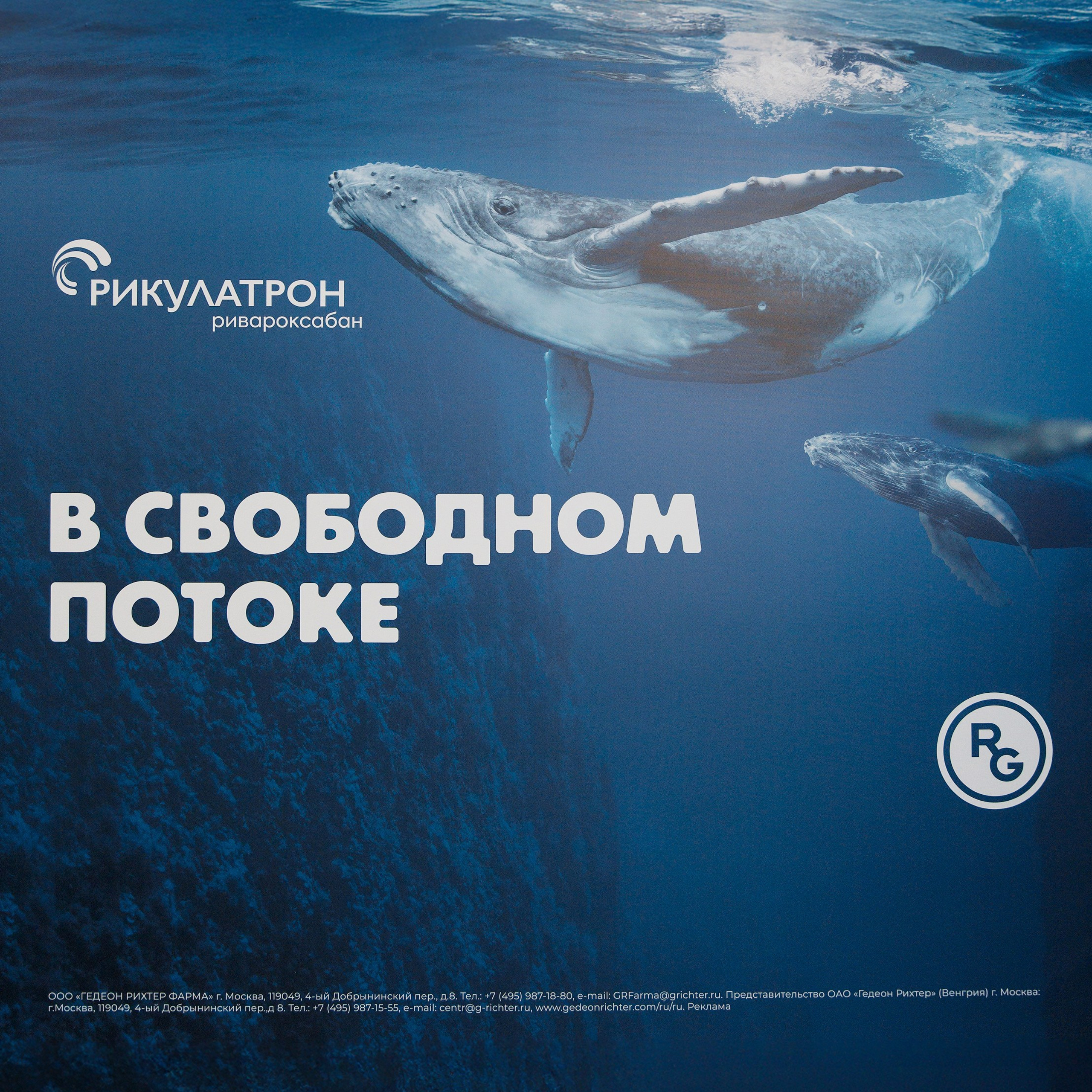 Конференция Рикулатрон