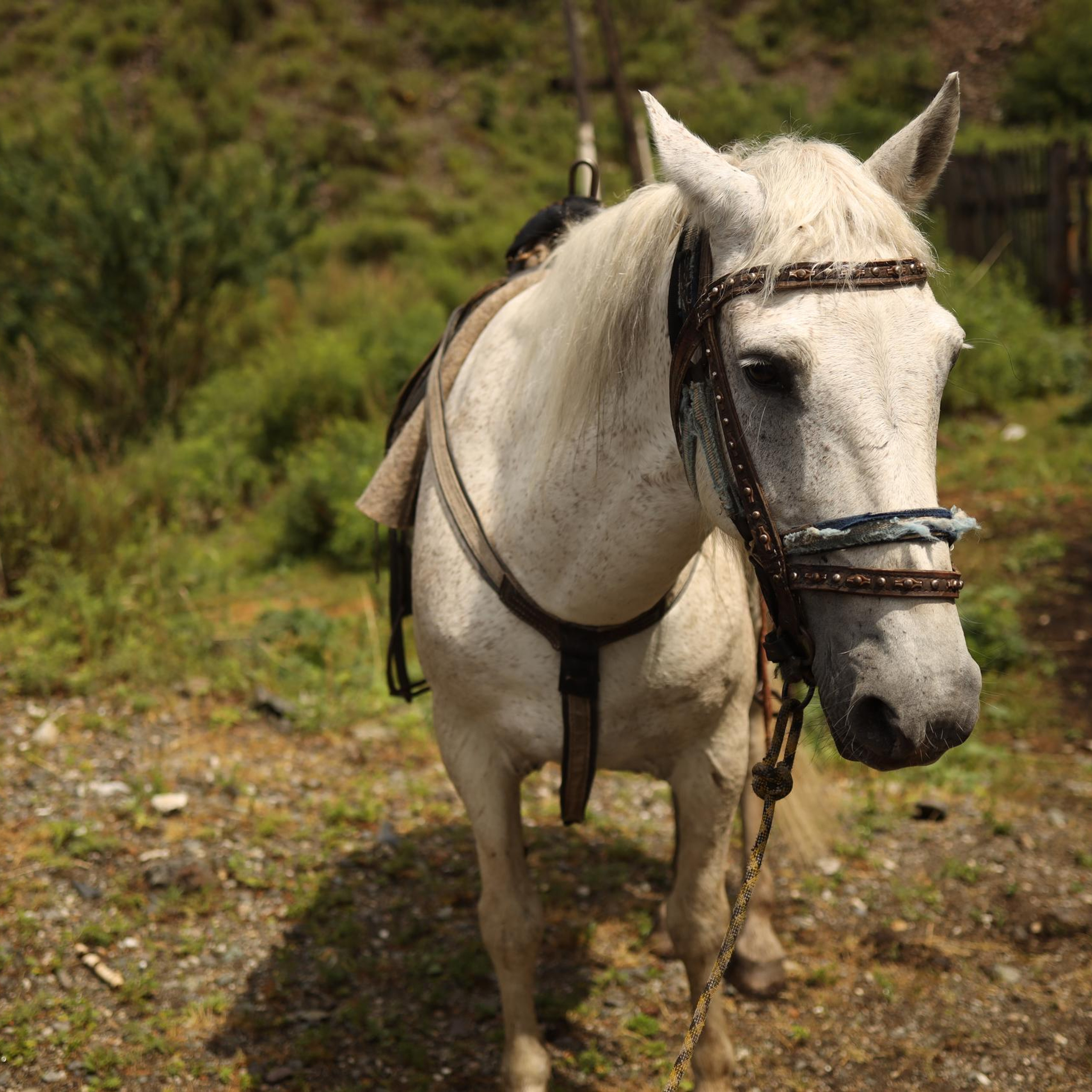 Отзывы. Фотограф Юля Постнова