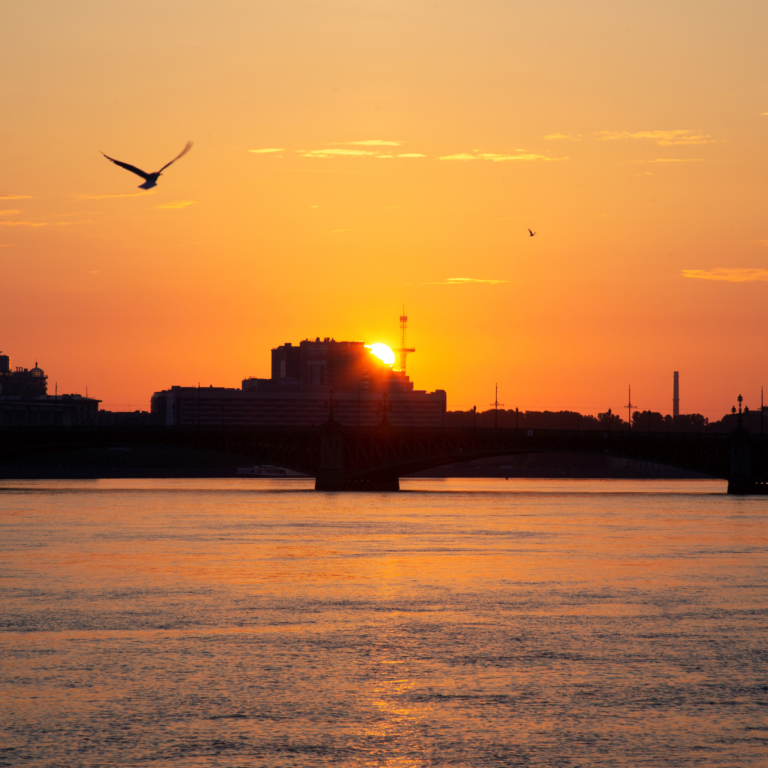 Отзывы. Фотограф Юля Постнова