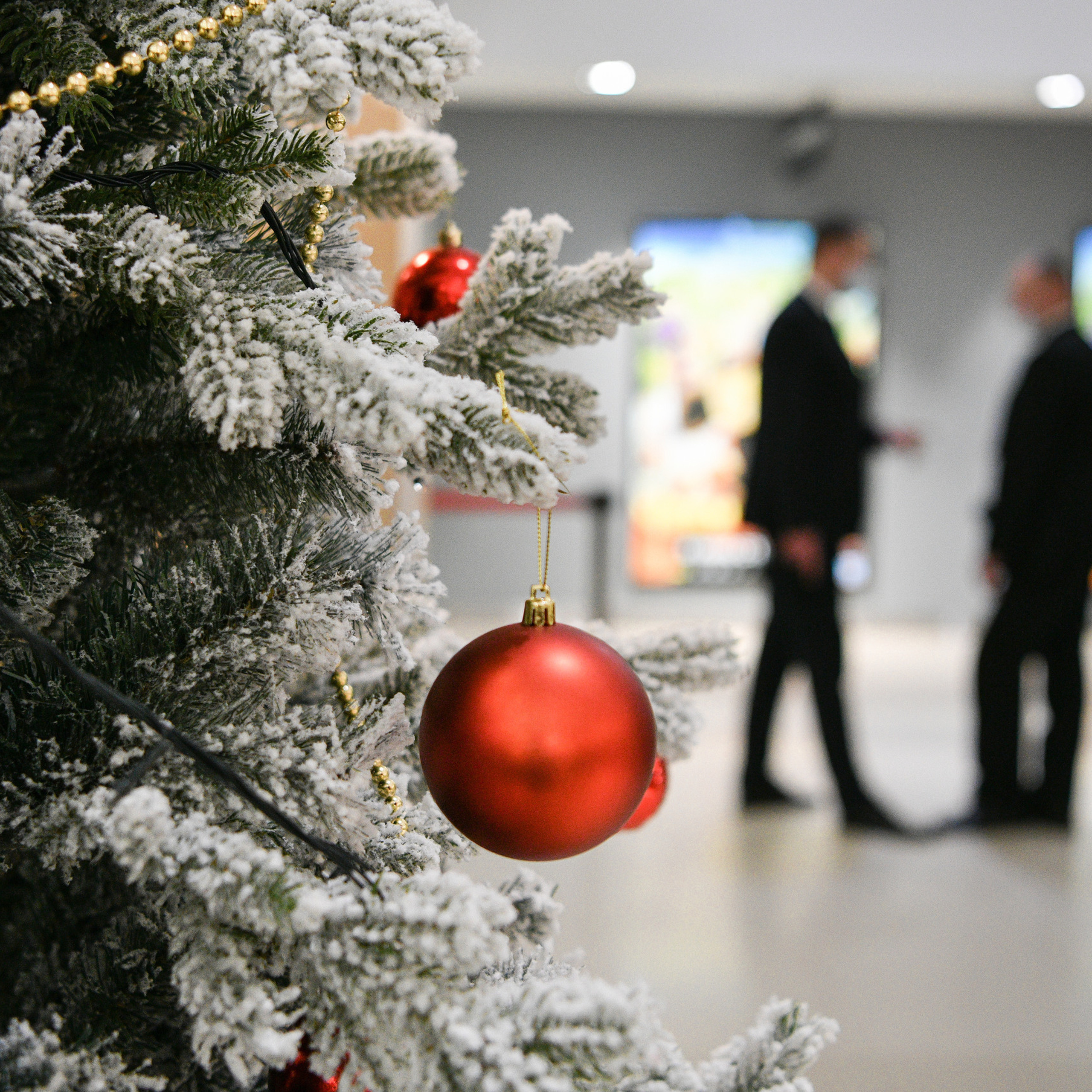 Отзывы. Женский фотограф в Москве Наталья Нестерова