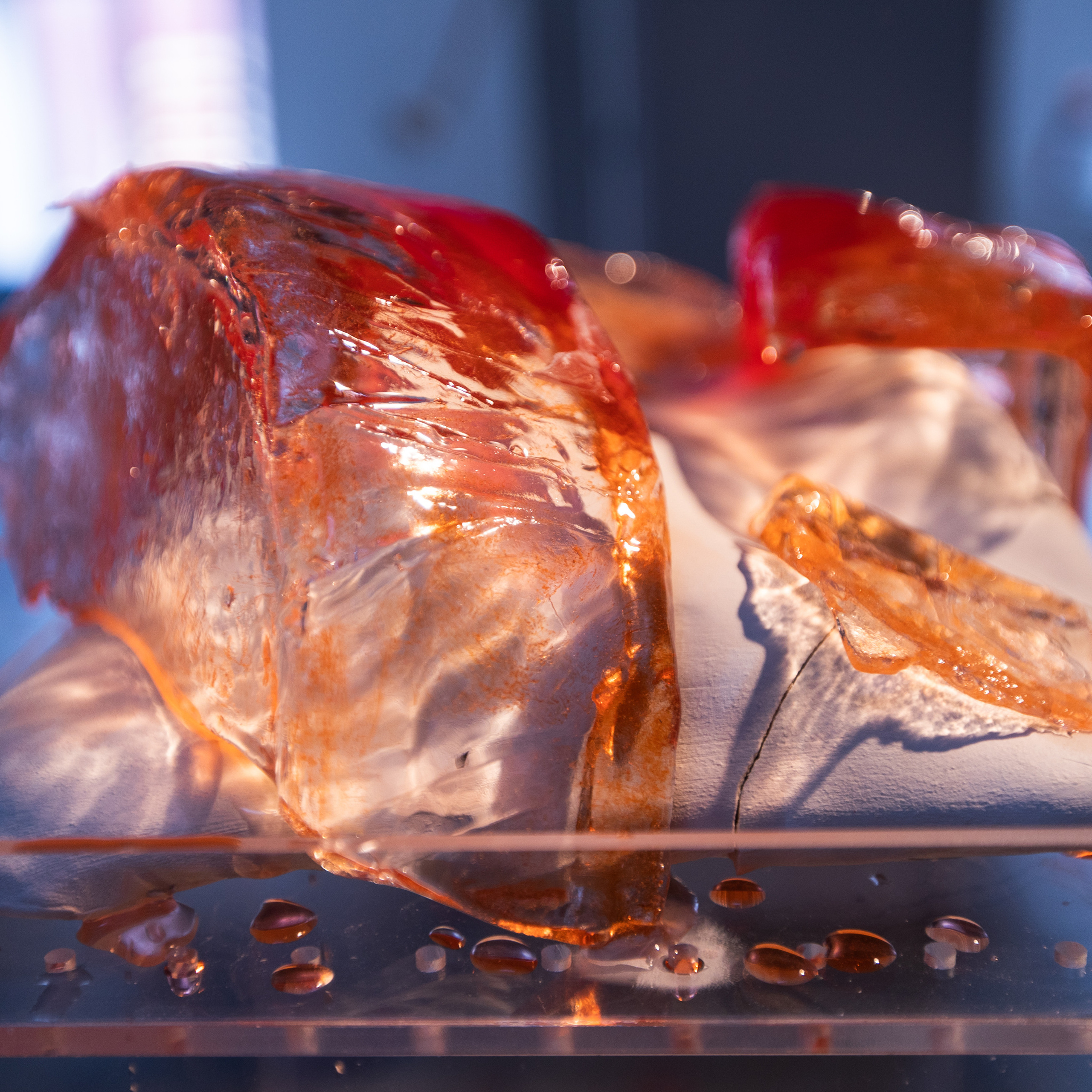 БВШД направление «современное искусство»