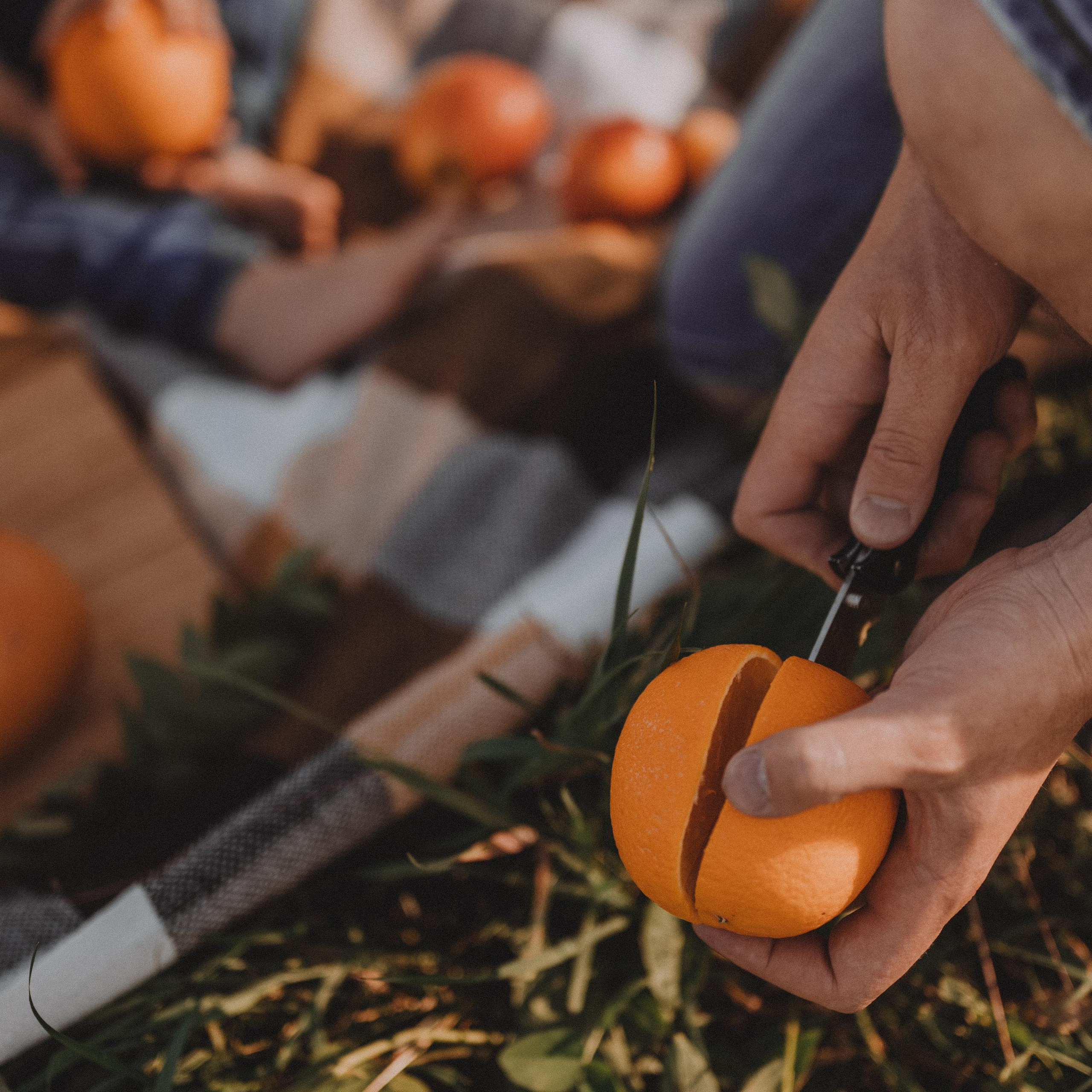 Пикник на закате