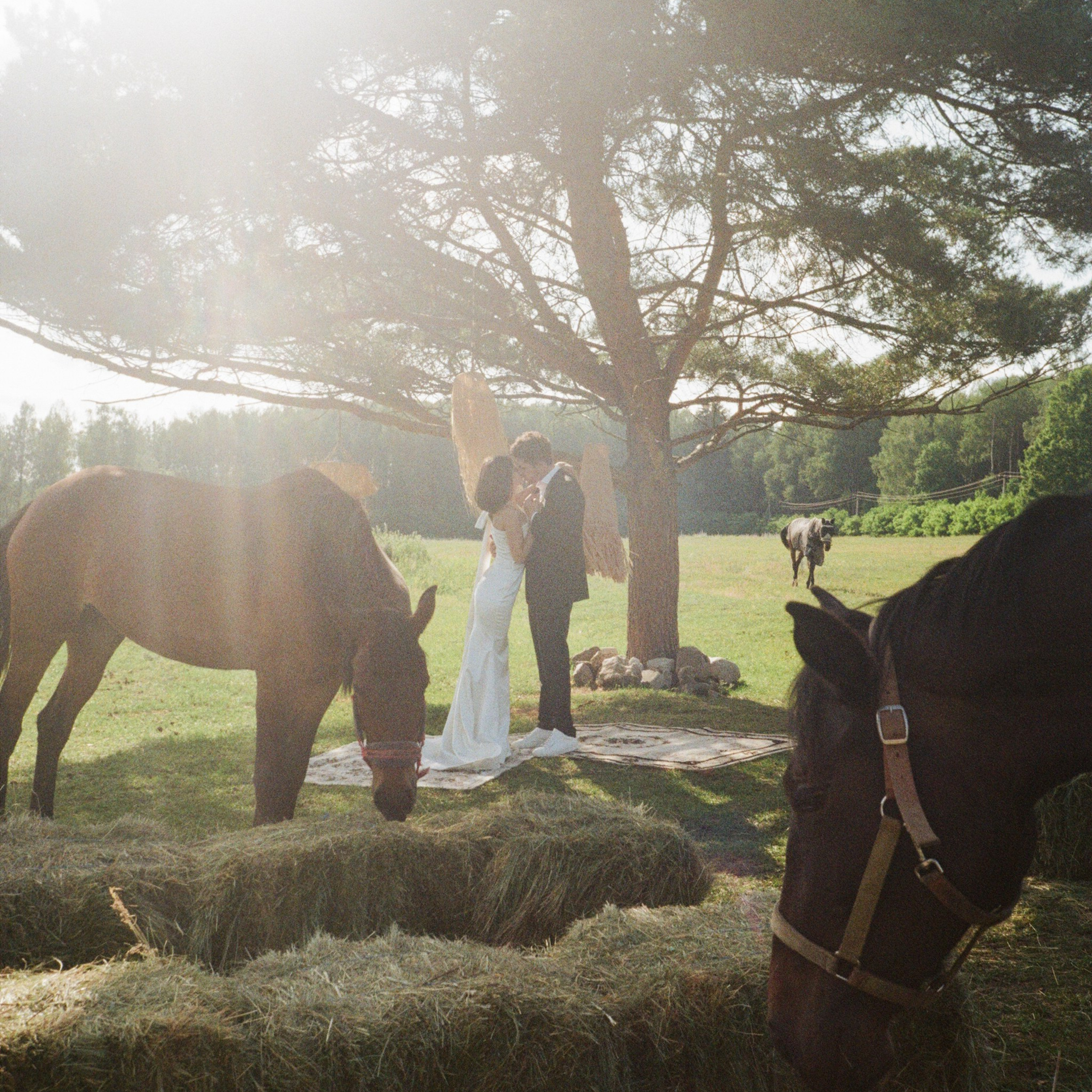 в кругу самых близких