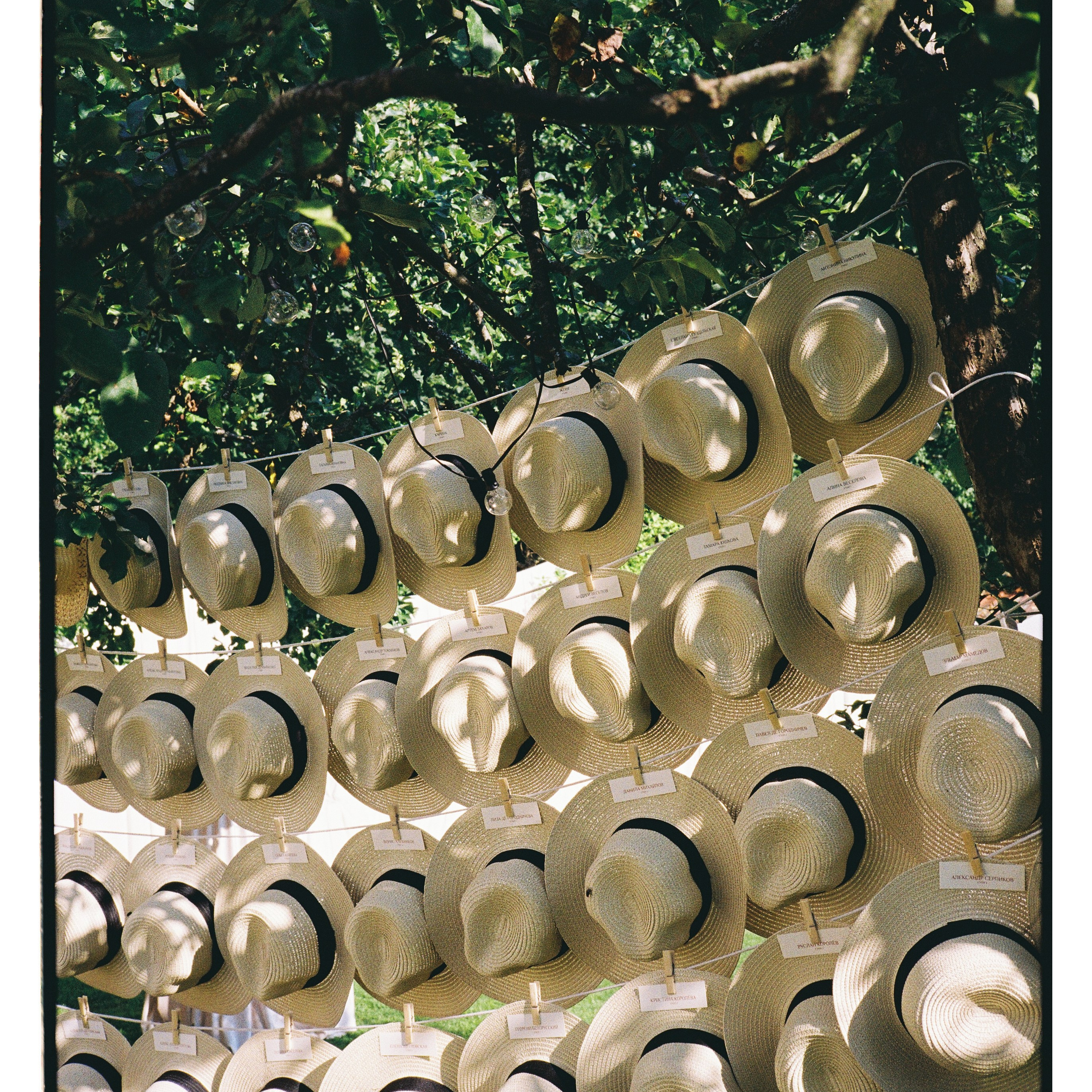 simply can be special (1)