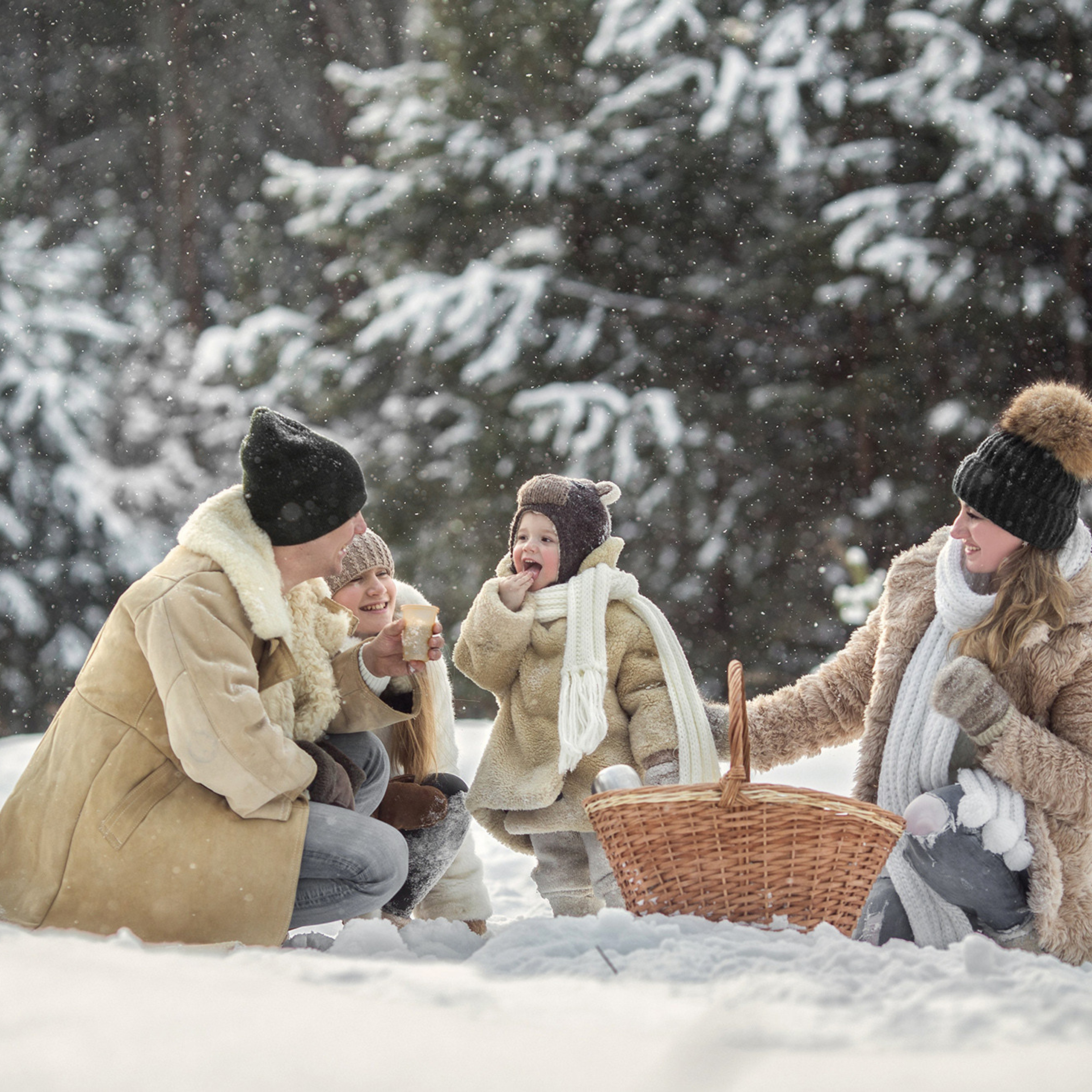 Зимняя прогулка в лесу