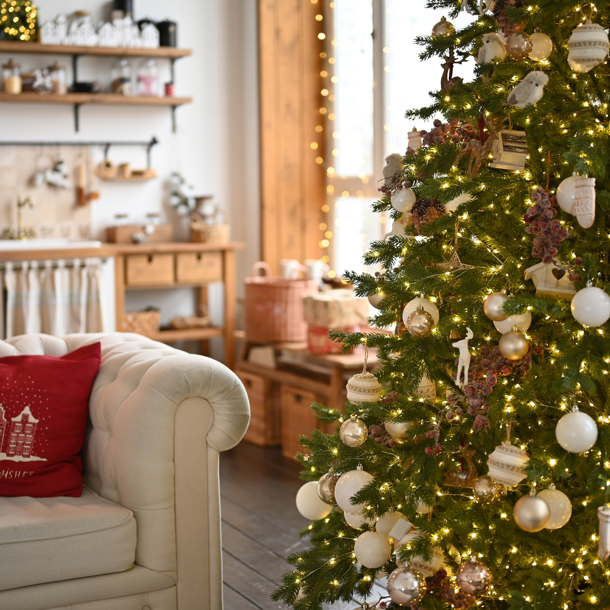 Отзывы. Главная