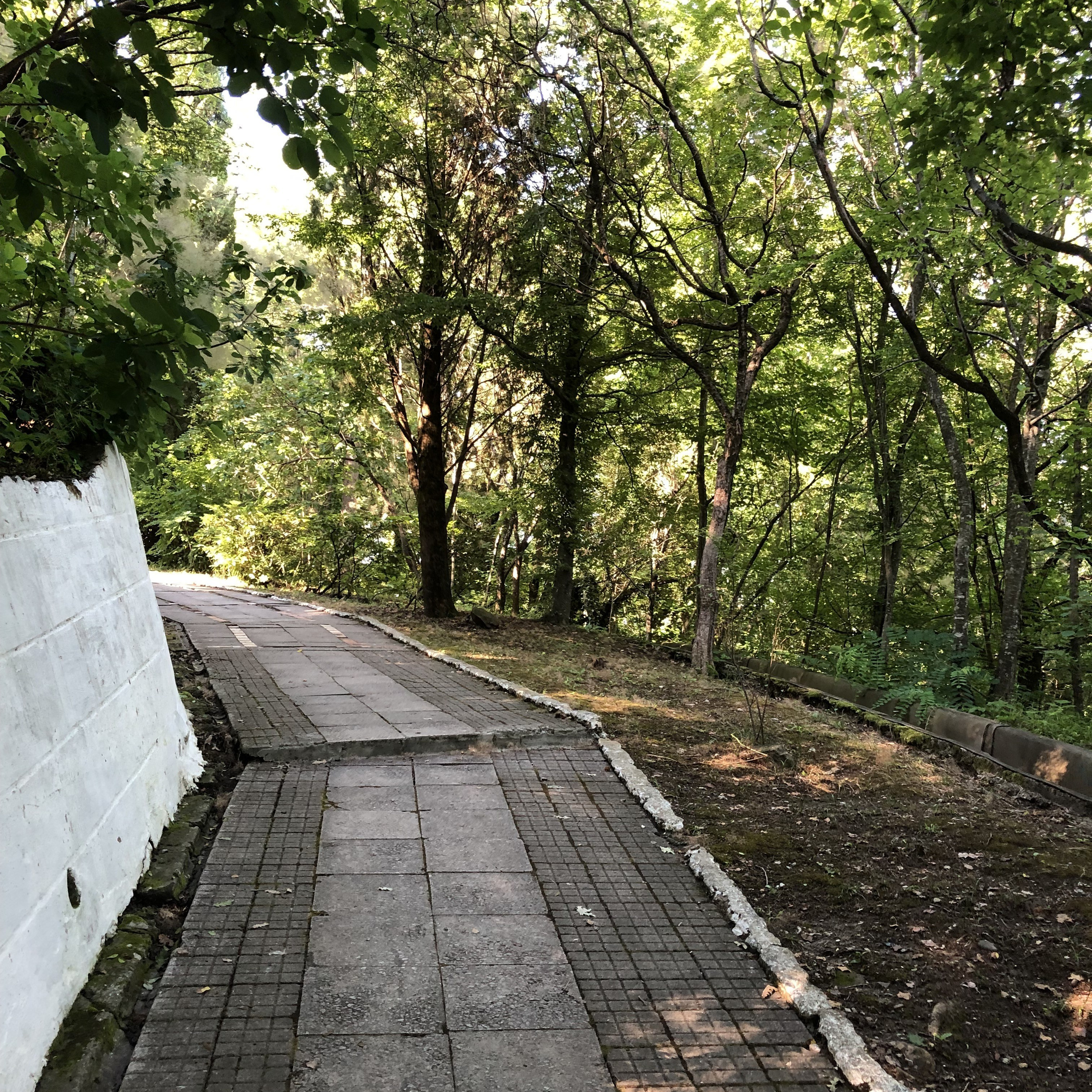 Школа тренеров Мастерская успеха. Галерея ПрофАС