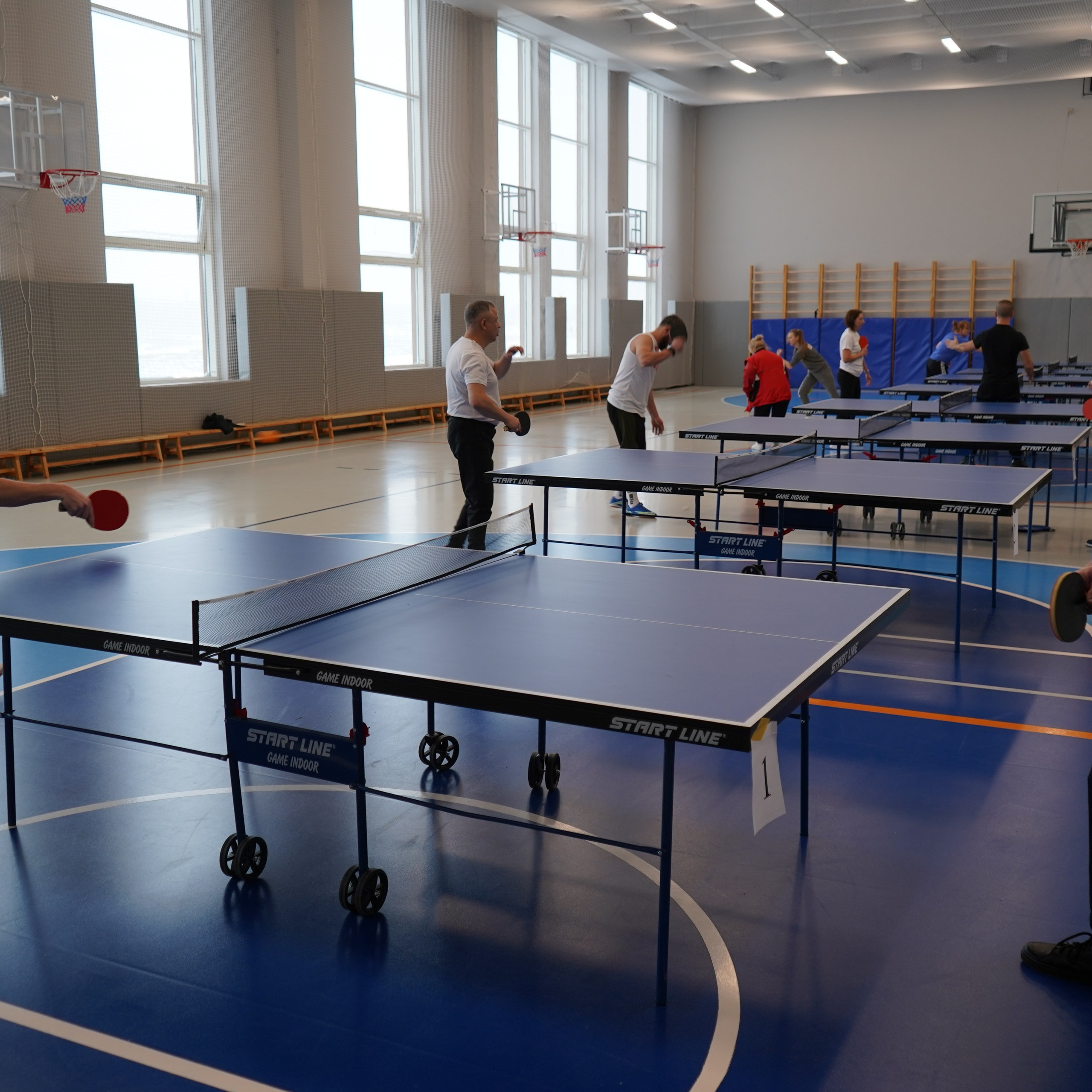 Форум-фестиваль «ПРОдвижение ЗОЖ». Галерея ПрофАС