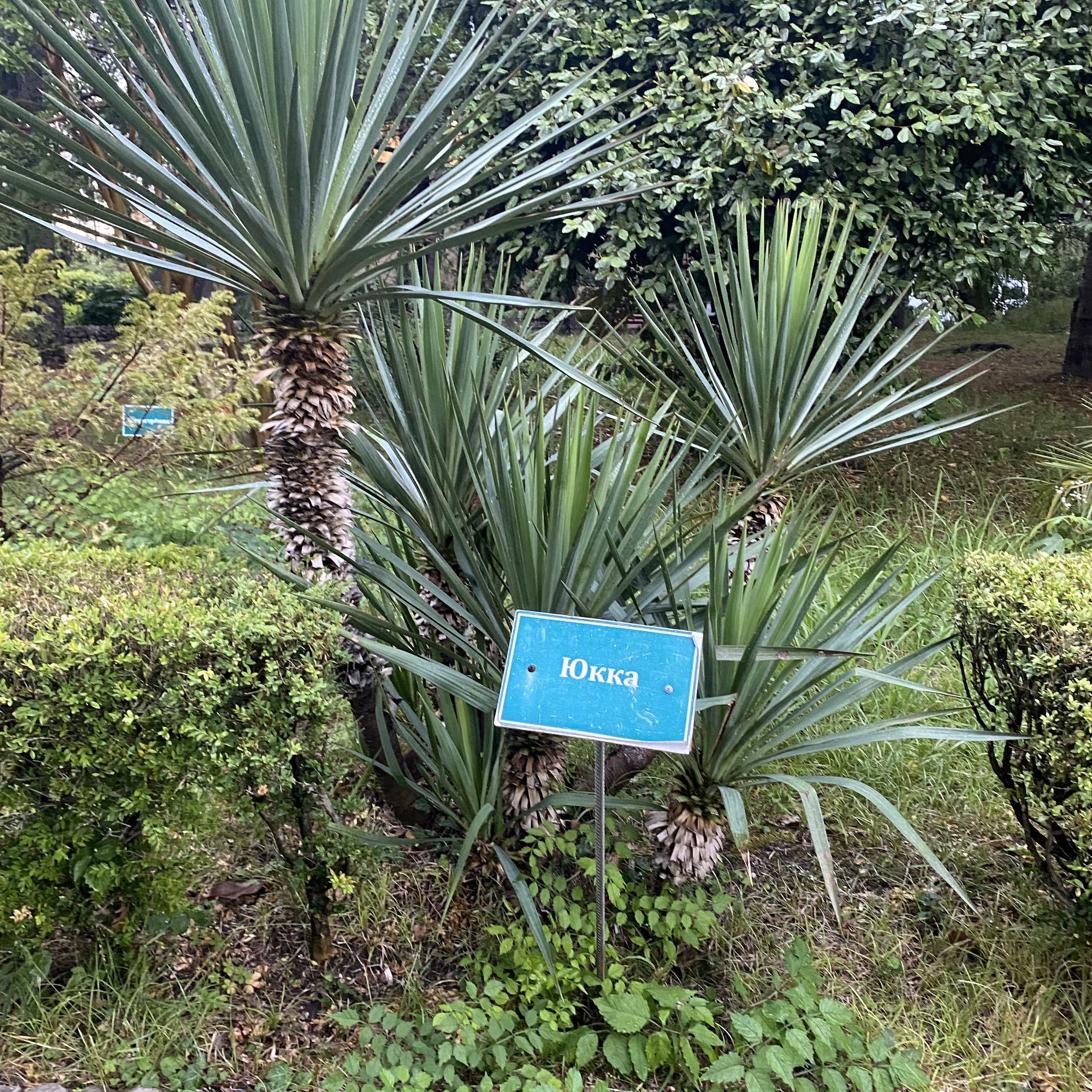 Тренинг лагерь. Галерея ПрофАС